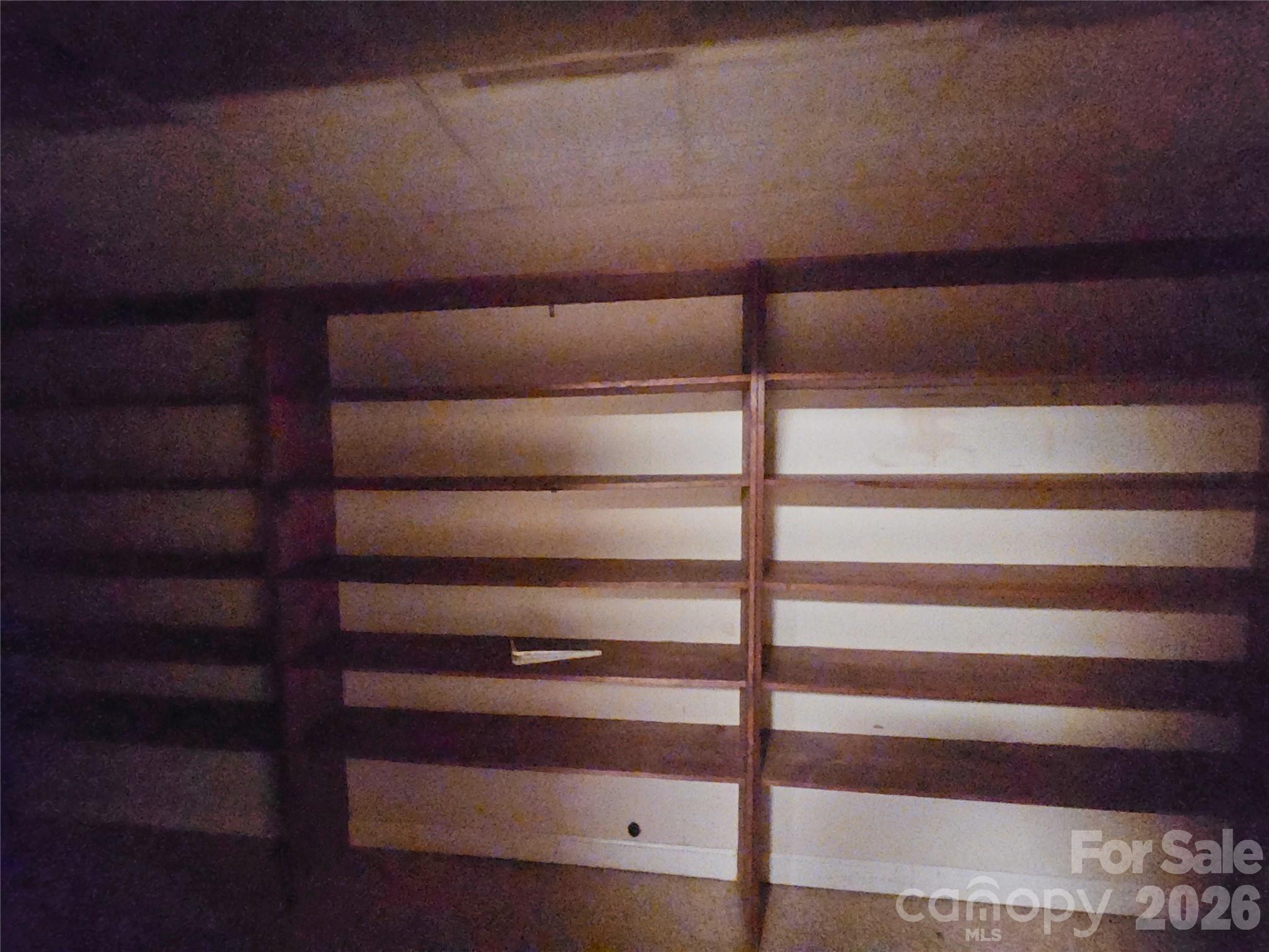 6 Roosevelt Street Property Photo 23