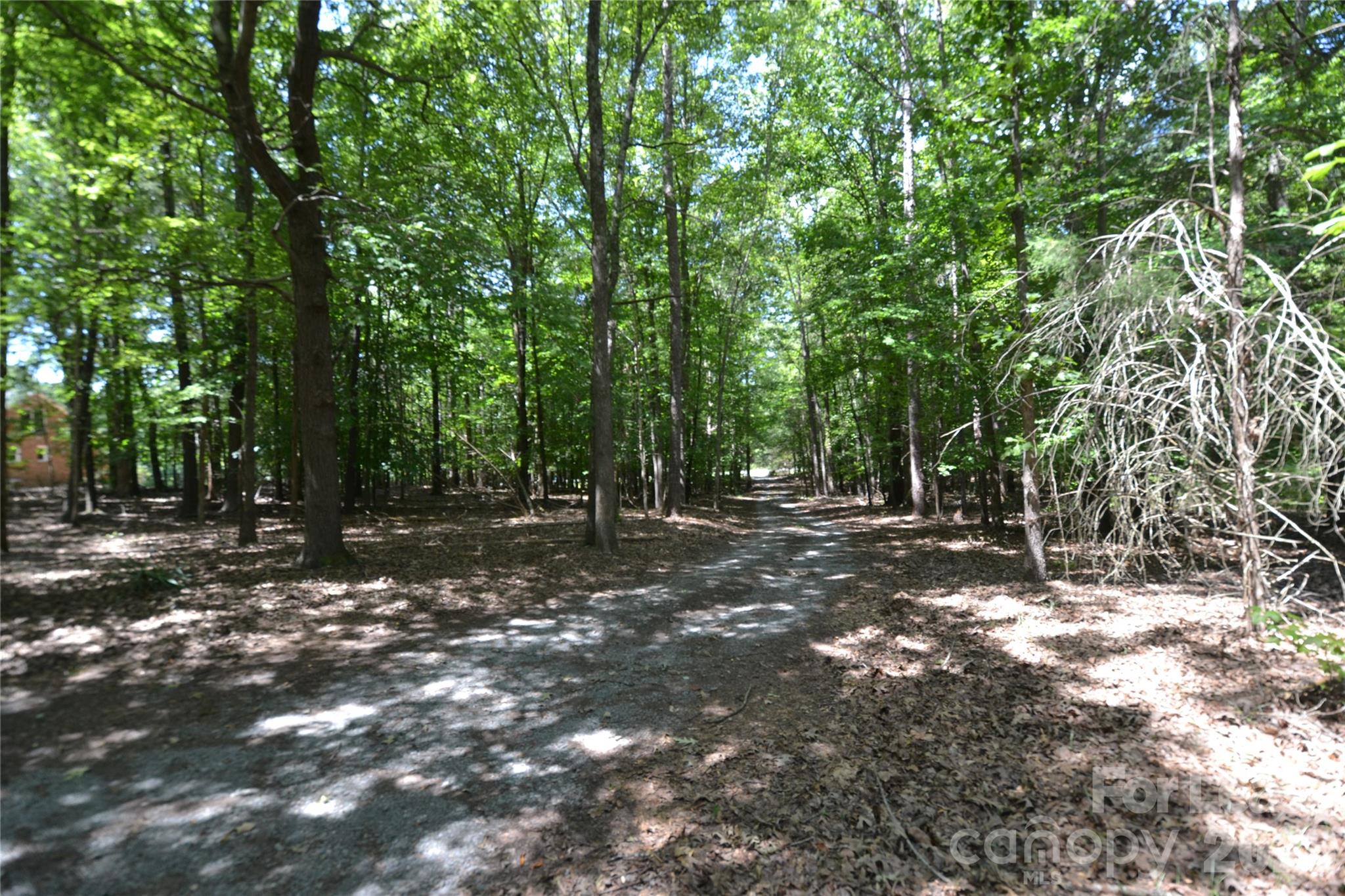 7015 Spruce Pine Trail Property Photo 4