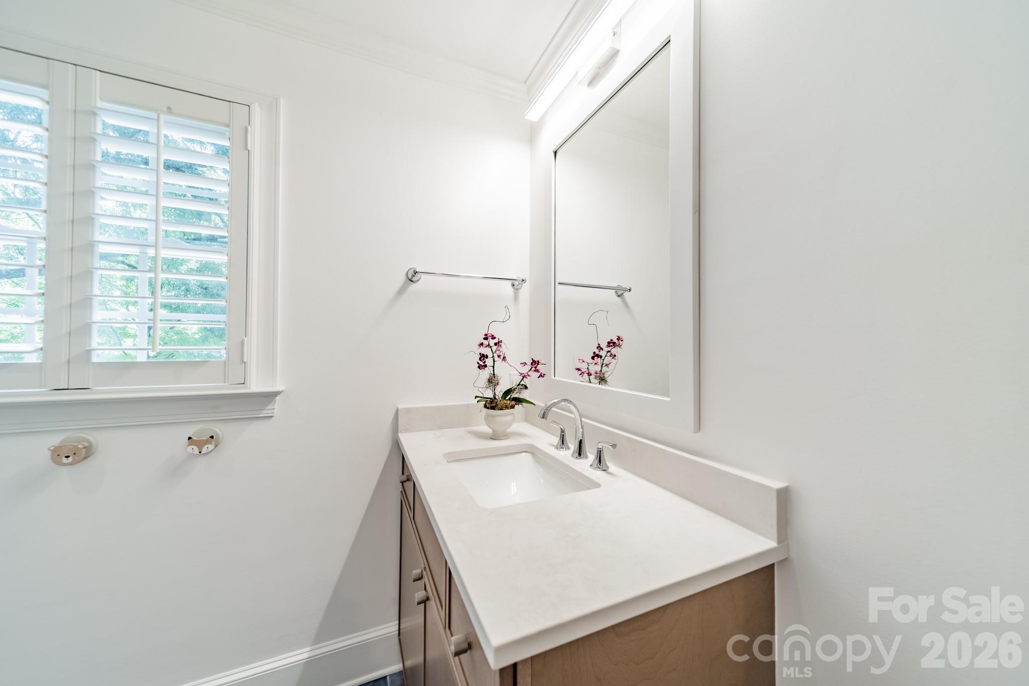 3821 Silver Bell Drive Property Photo 26