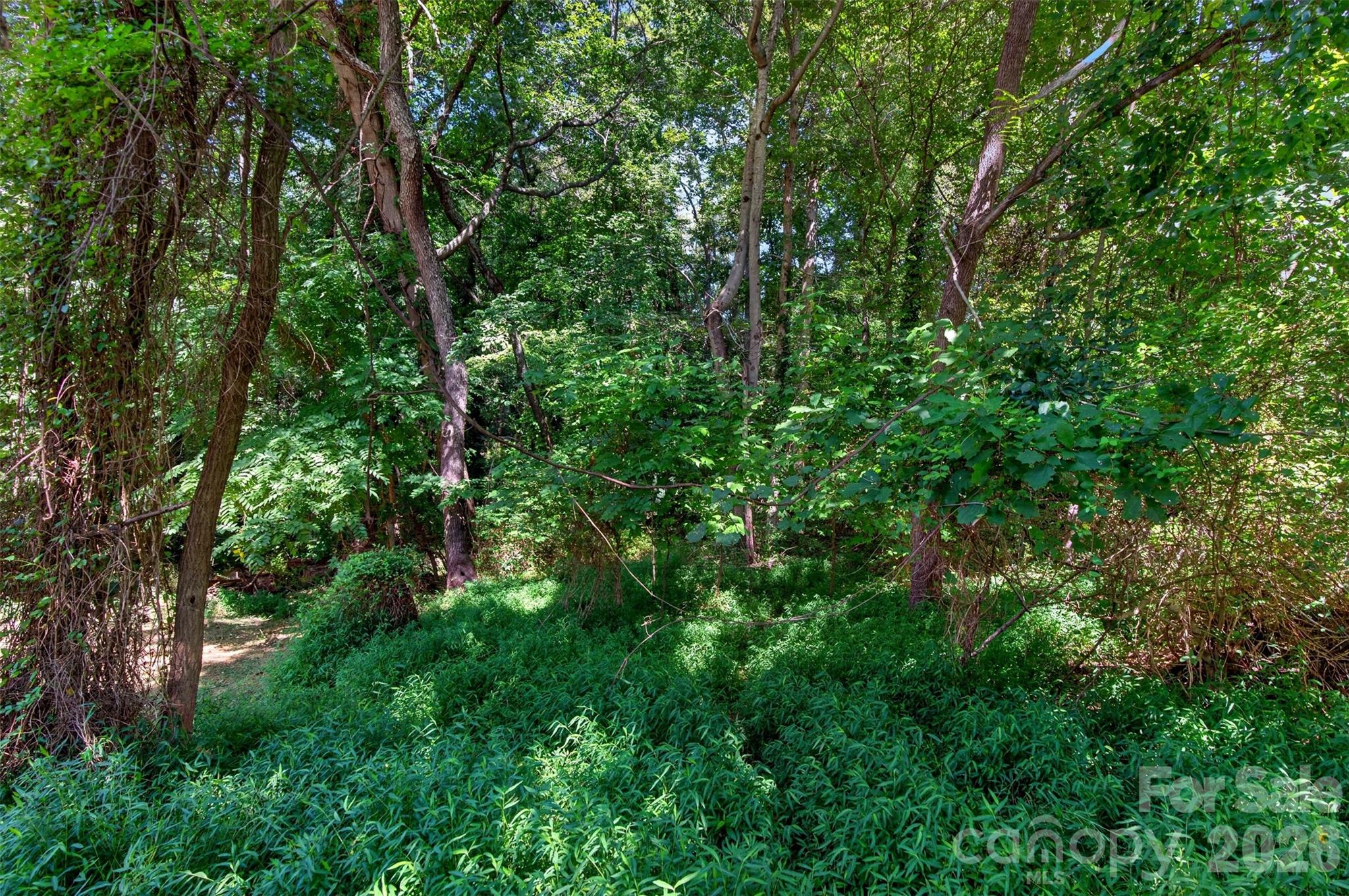 21 Maple Avenue Property Photo 4