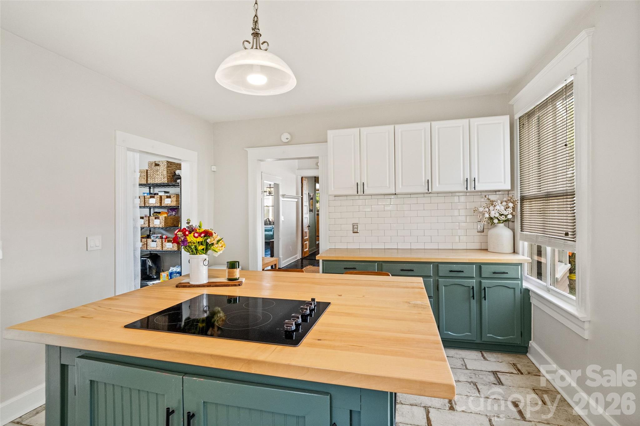 233 Marion Street Property Photo 14