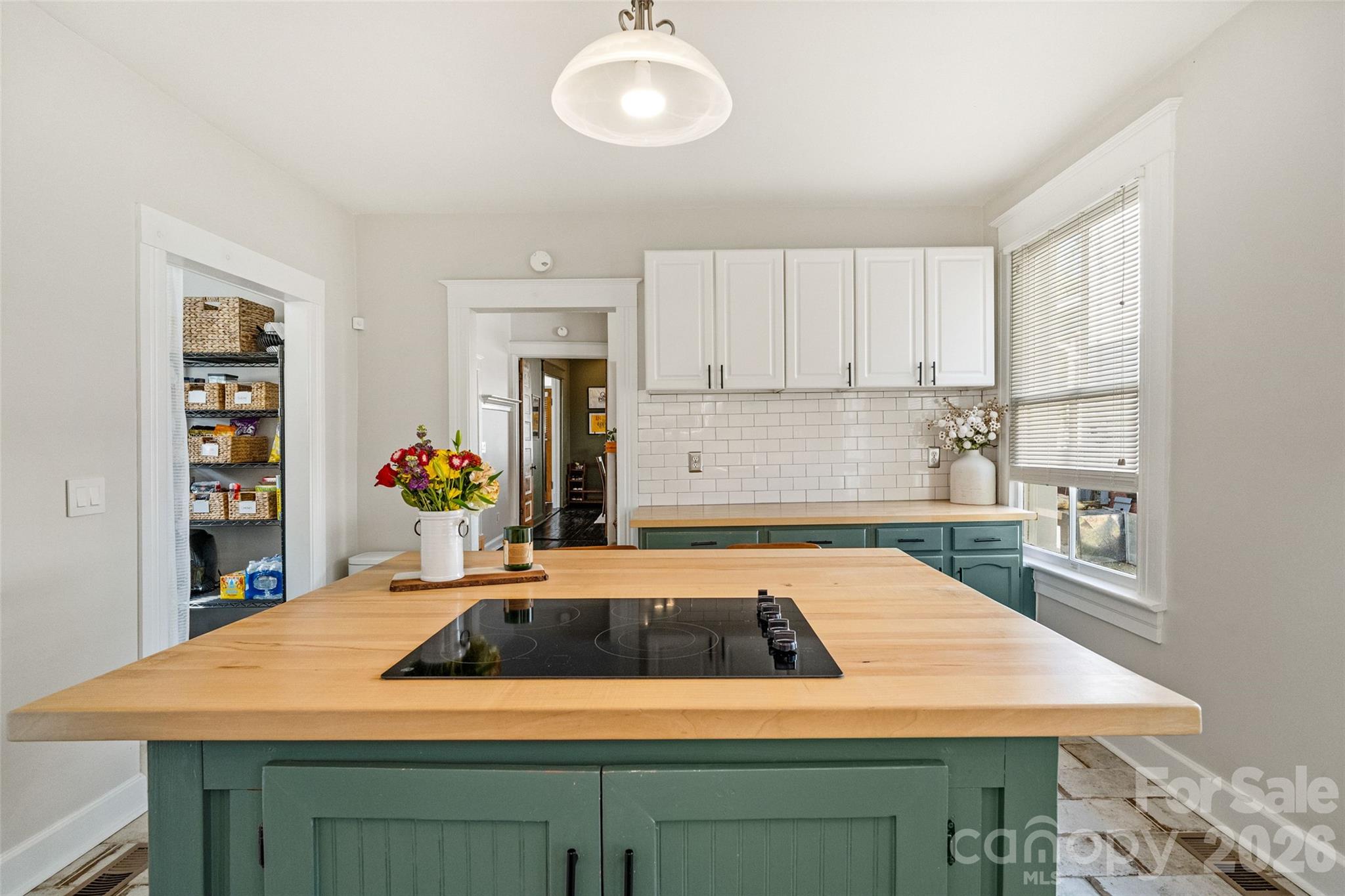 233 Marion Street Property Photo 17