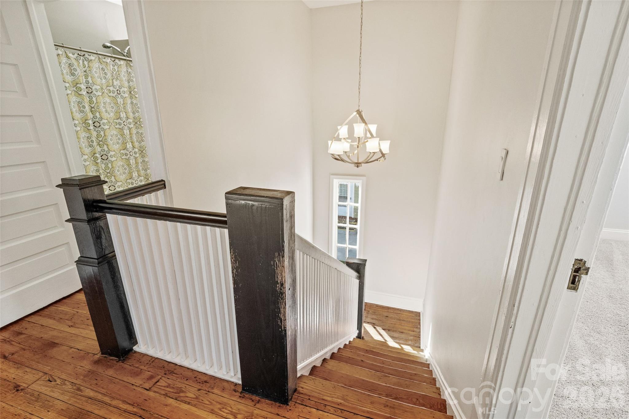 233 Marion Street Property Photo 23