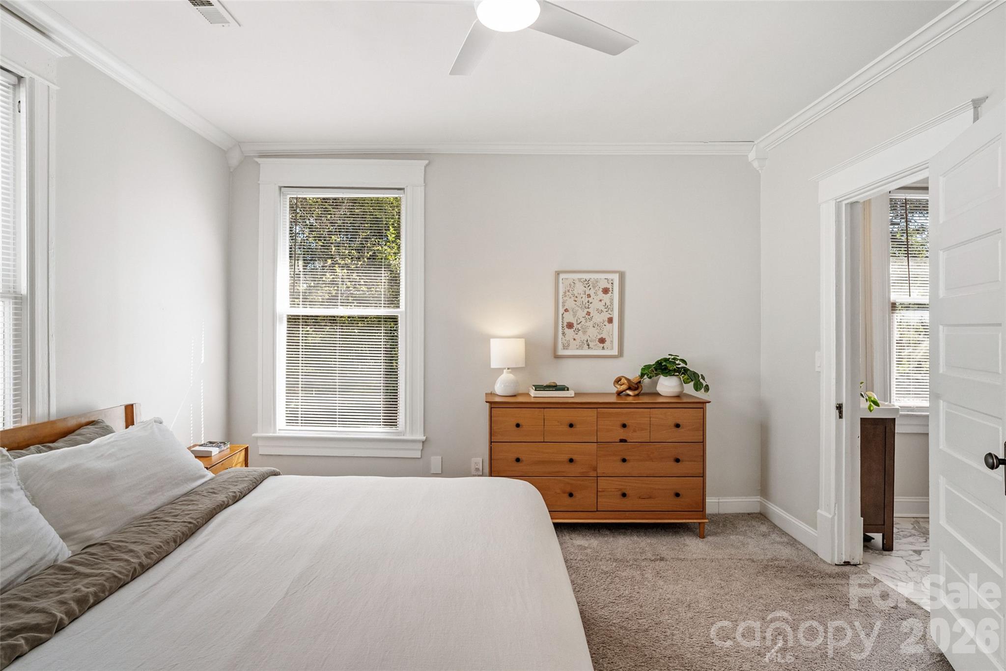 233 Marion Street Property Photo 25