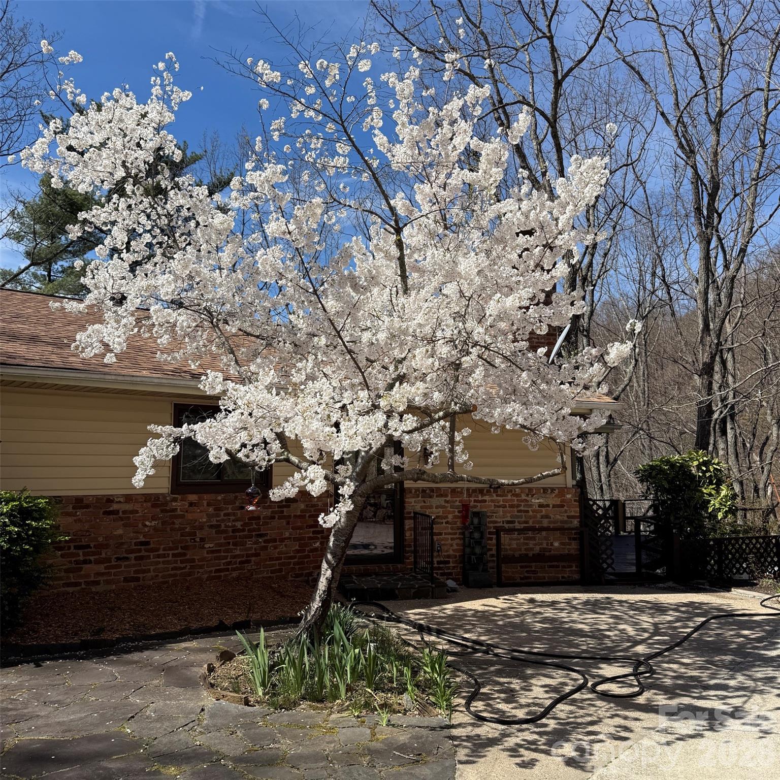 12 E Park Drive Property Photo 6