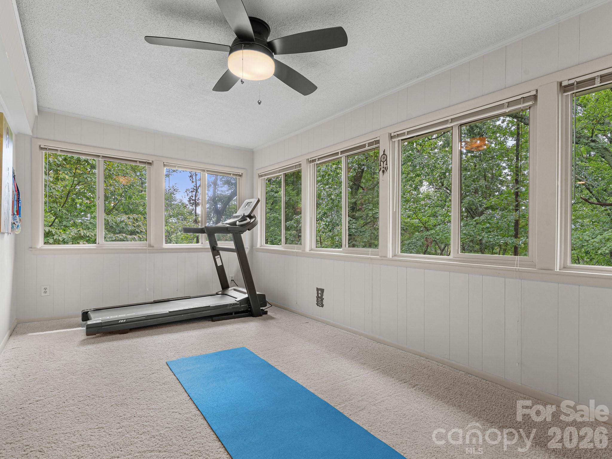 12 E Park Drive Property Photo 24