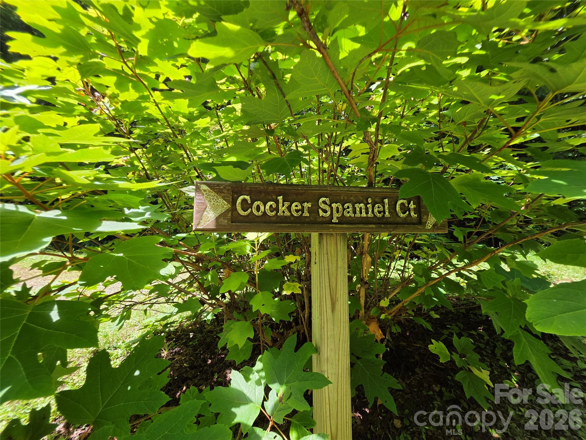 Lot 17 Cocker Spaniel Court 17 Property Photo 10