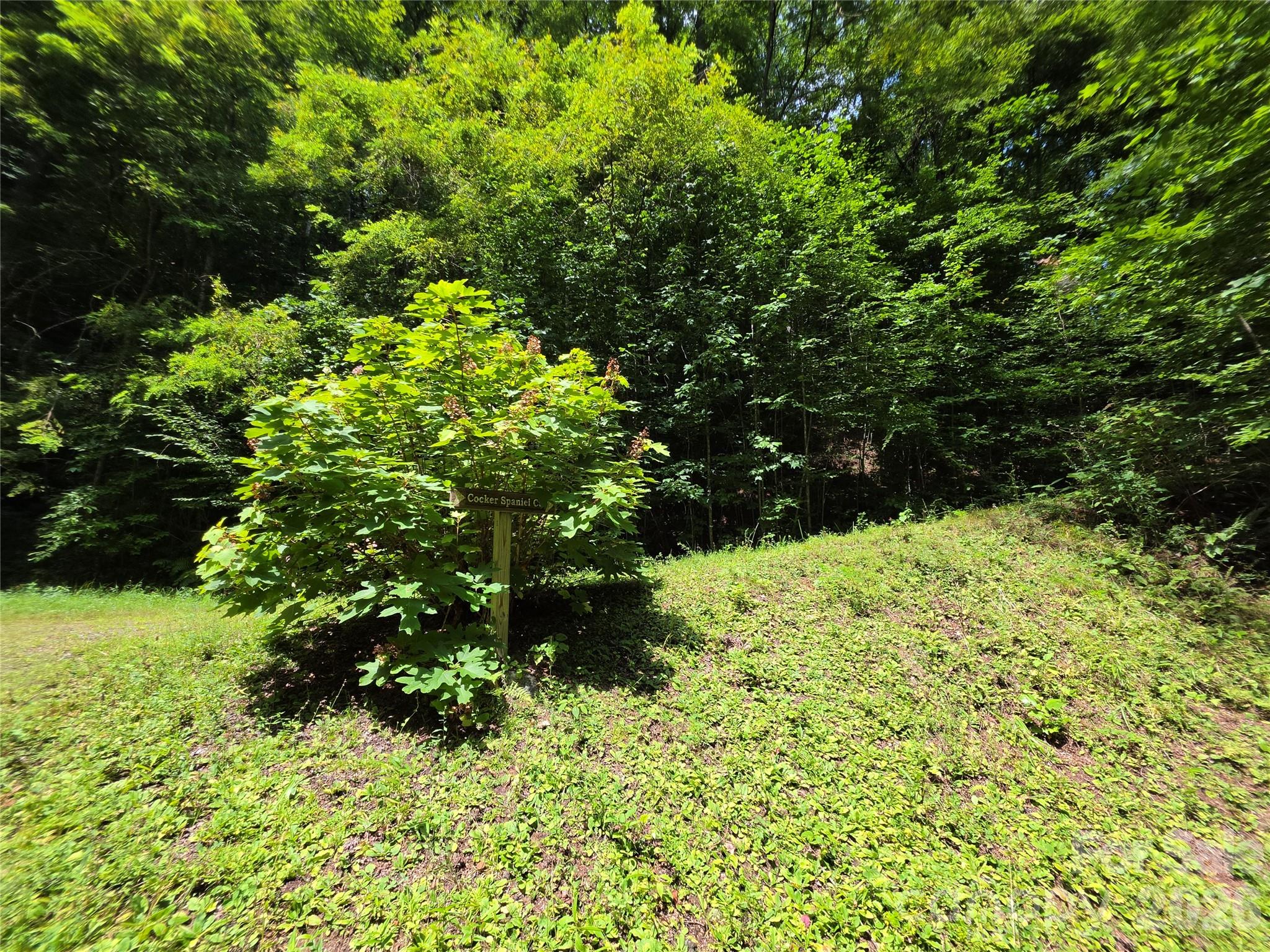 Lot 17 Cocker Spaniel Court 17 Property Photo 11
