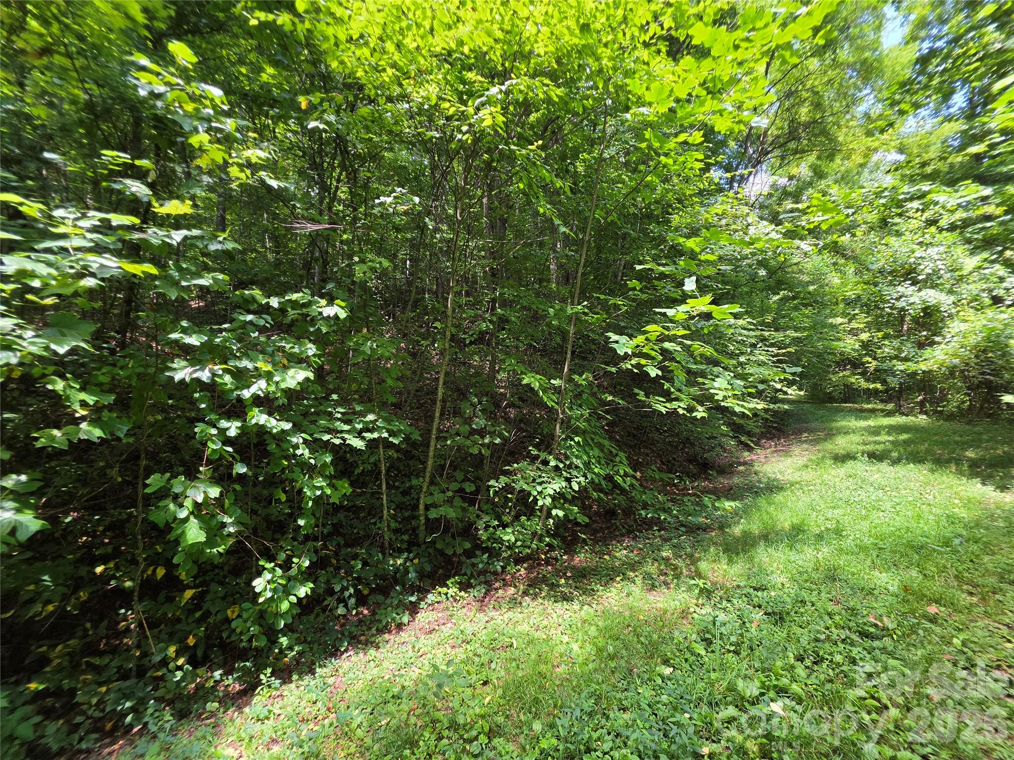 Lot 17 Cocker Spaniel Court 17 Property Photo 12