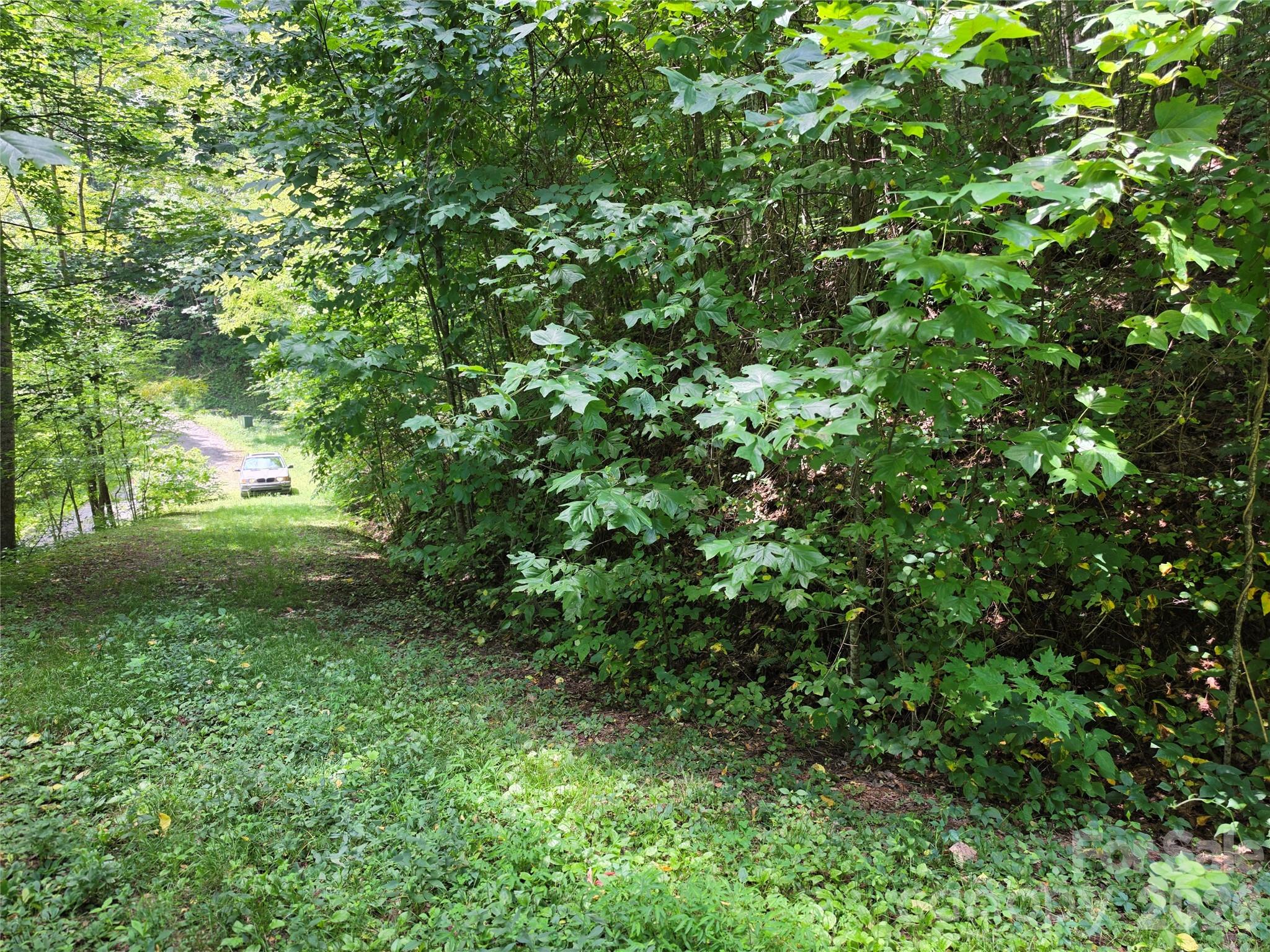 Lot 17 Cocker Spaniel Court 17 Property Photo 13