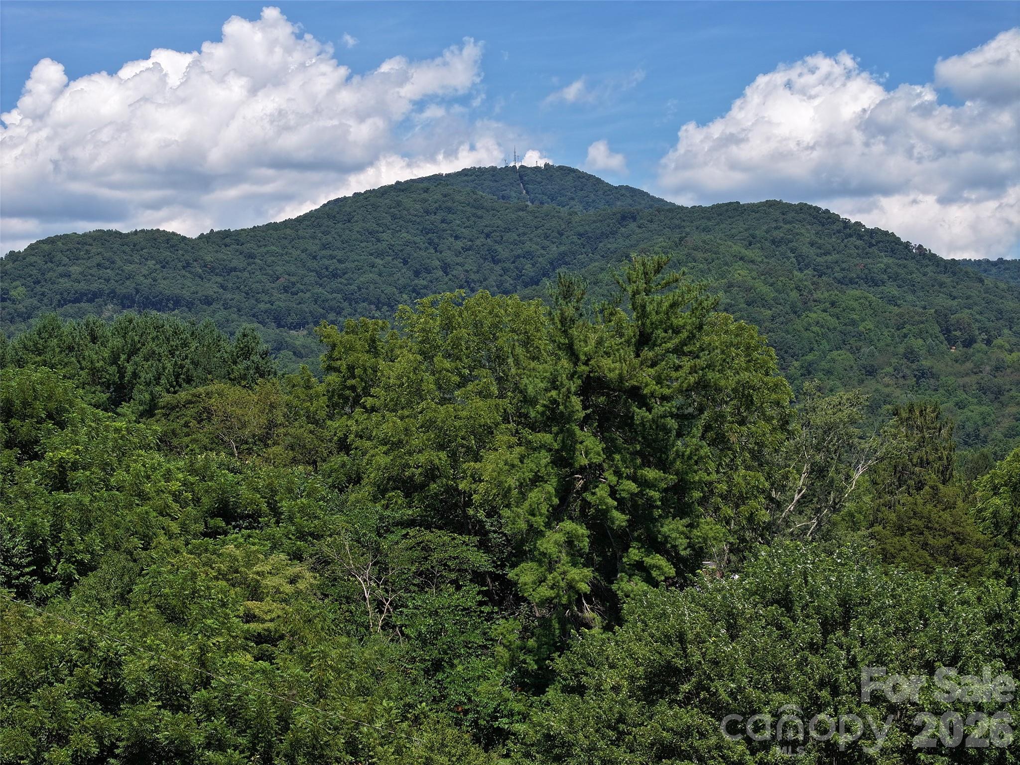 43 Thoren Court Property Photo 28