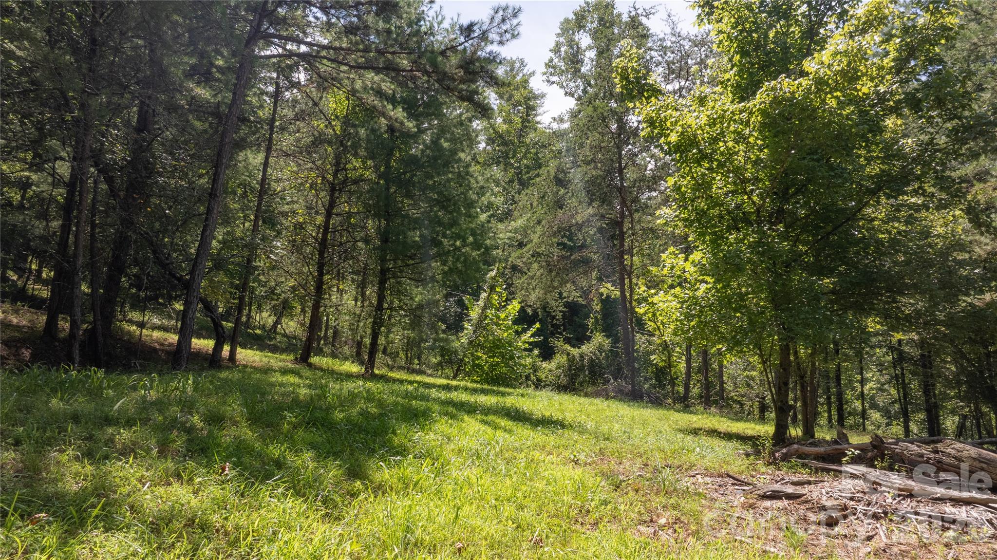 22 Fern Gully None Property Photo 7