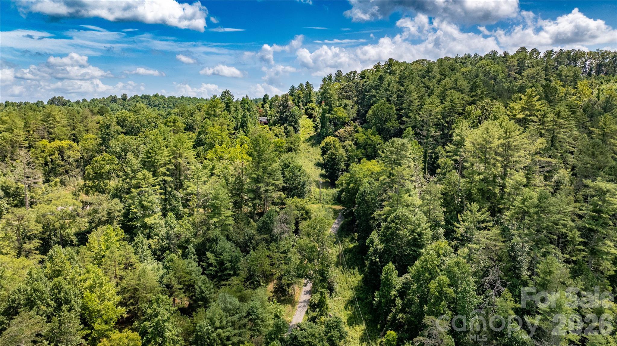 22 Fern Gully None Property Photo 10