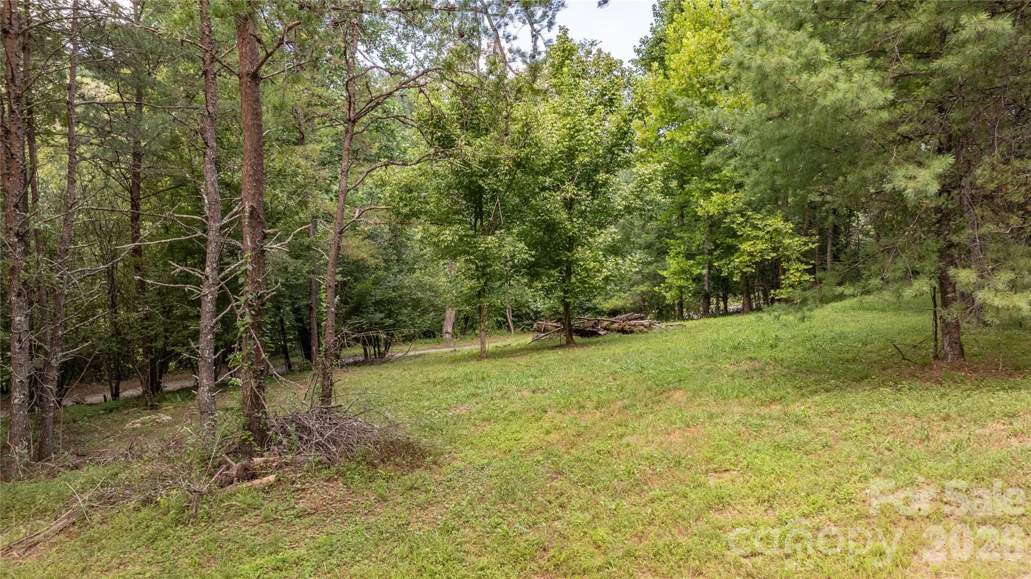 22 Fern Gully None Property Photo 18