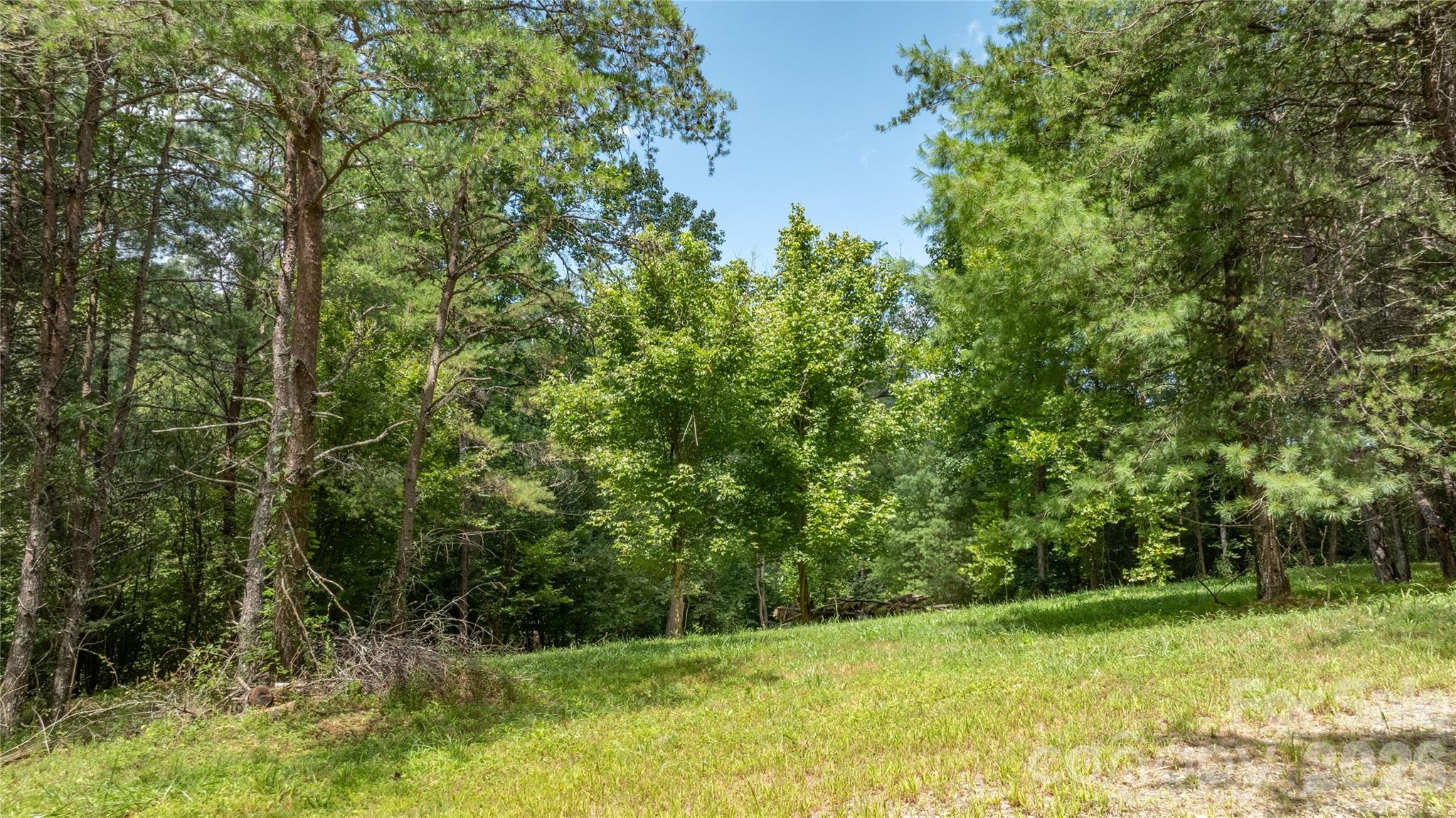 22 Fern Gully None Property Photo 19