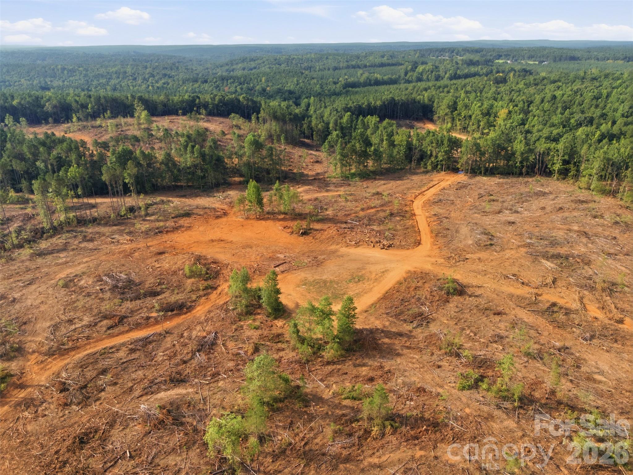 Tbd Flat Rock Road Property Photo 7