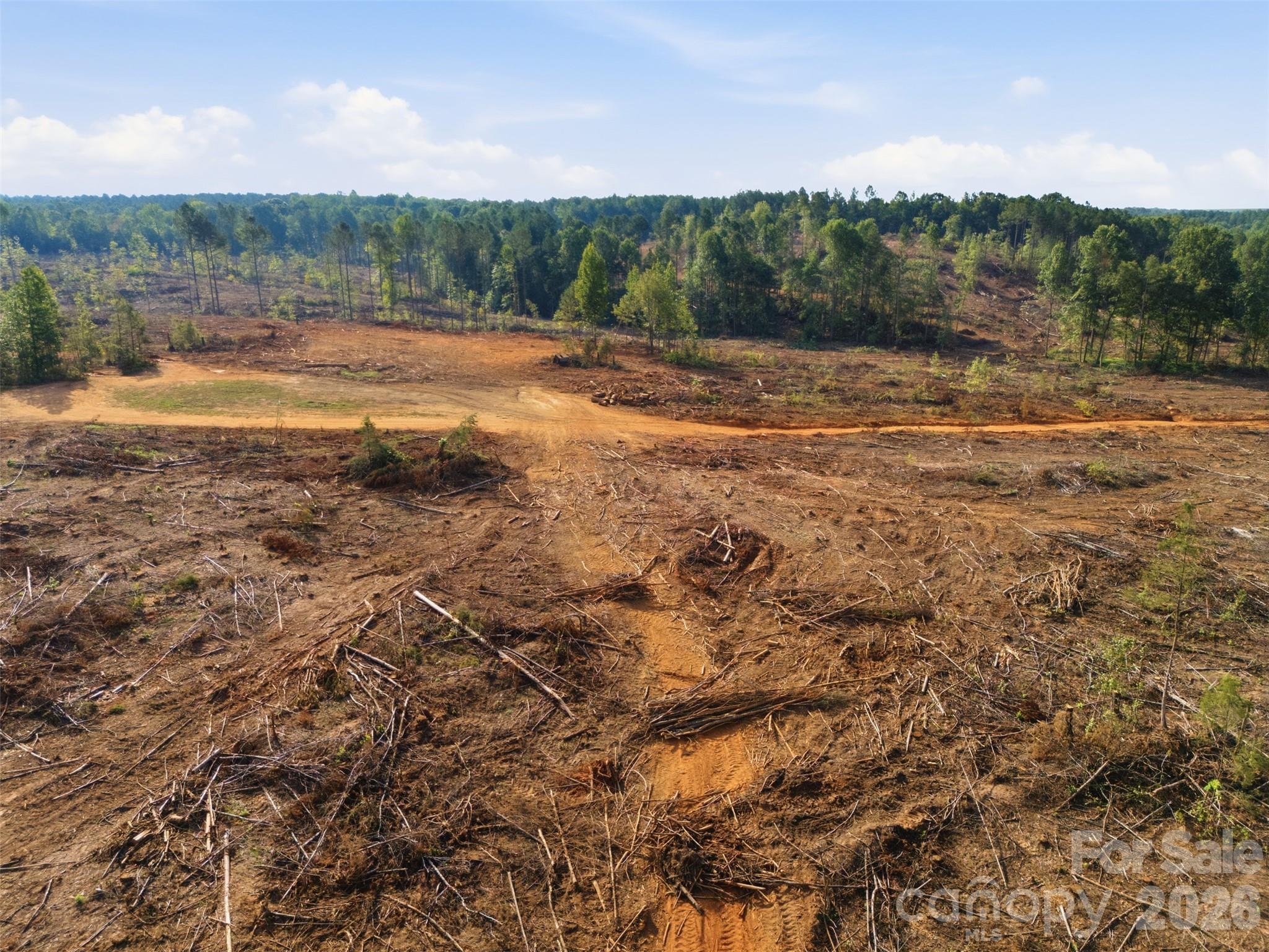 Tbd Flat Rock Road Property Photo 8