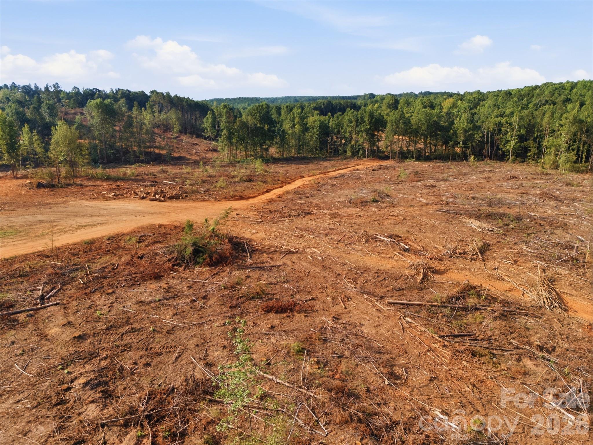 Tbd Flat Rock Road Property Photo 9
