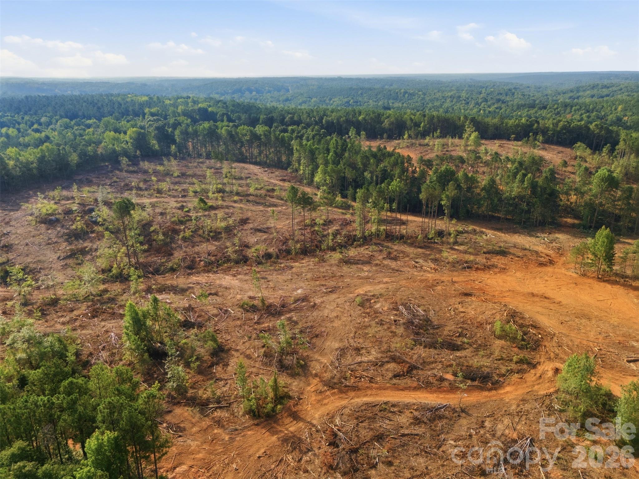 Tbd Flat Rock Road Property Photo 10