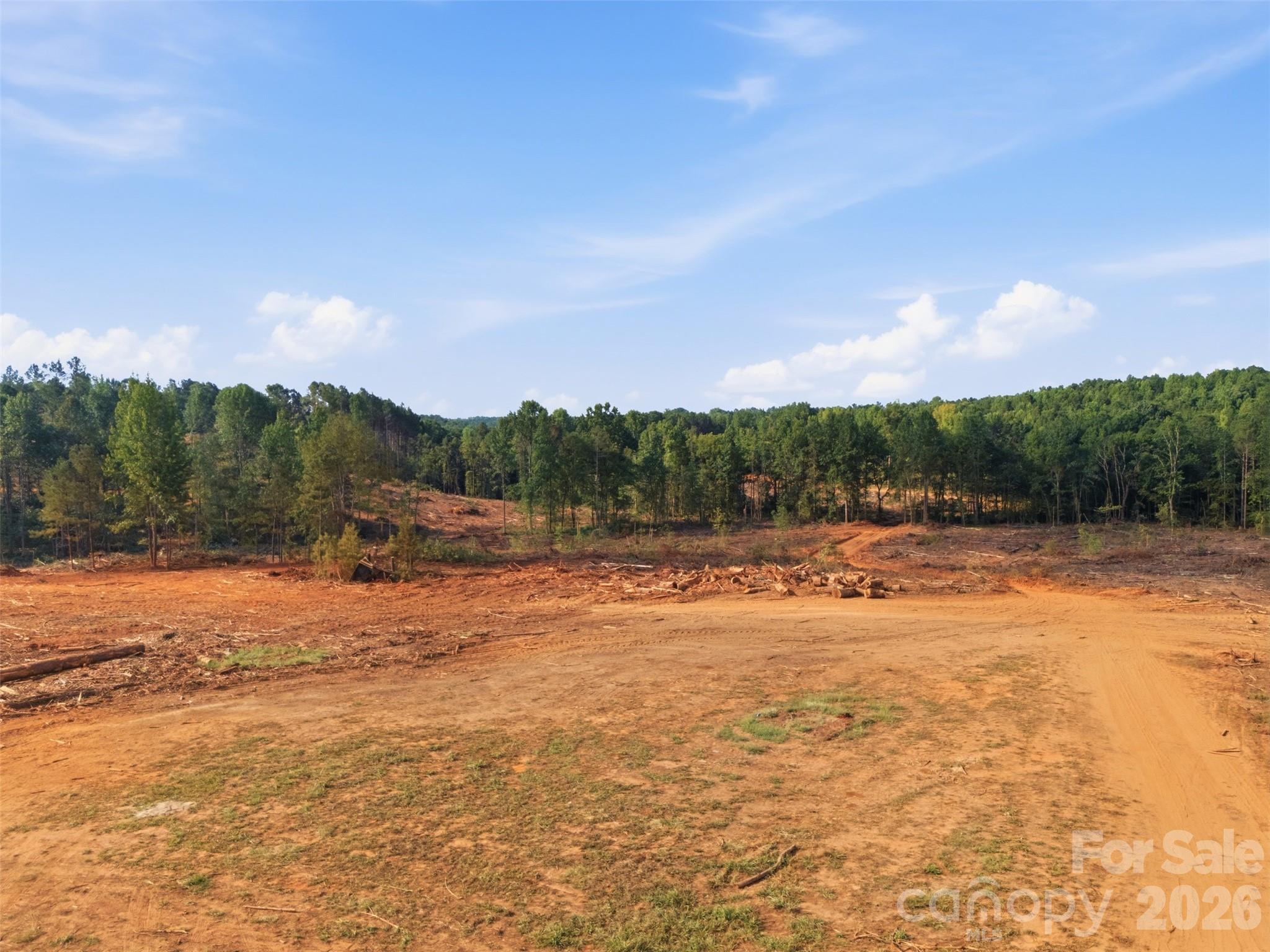 Tbd Flat Rock Road Property Photo 13
