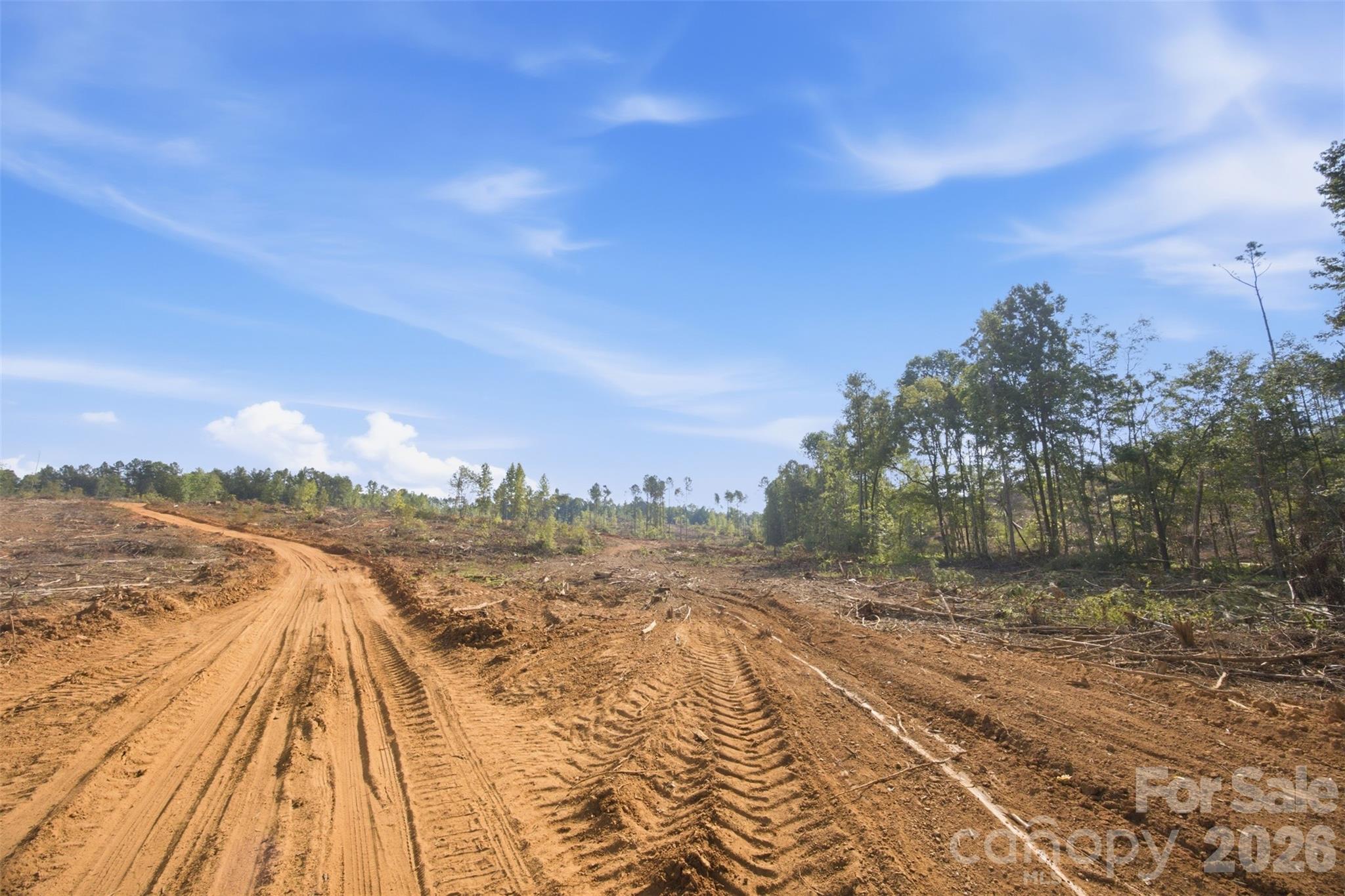Tbd Flat Rock Road Property Photo 14
