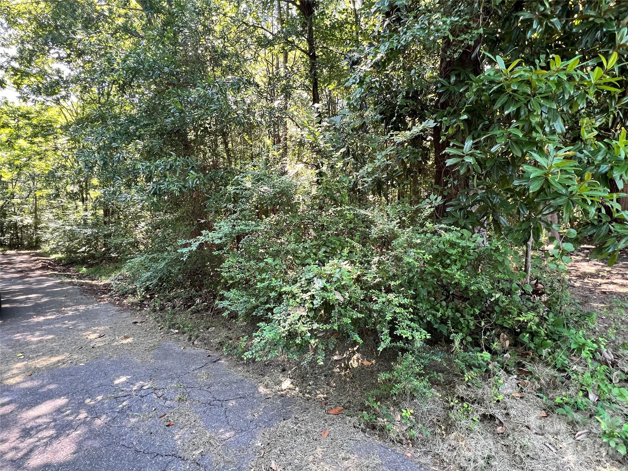 215 Factory Street Property Photo 14