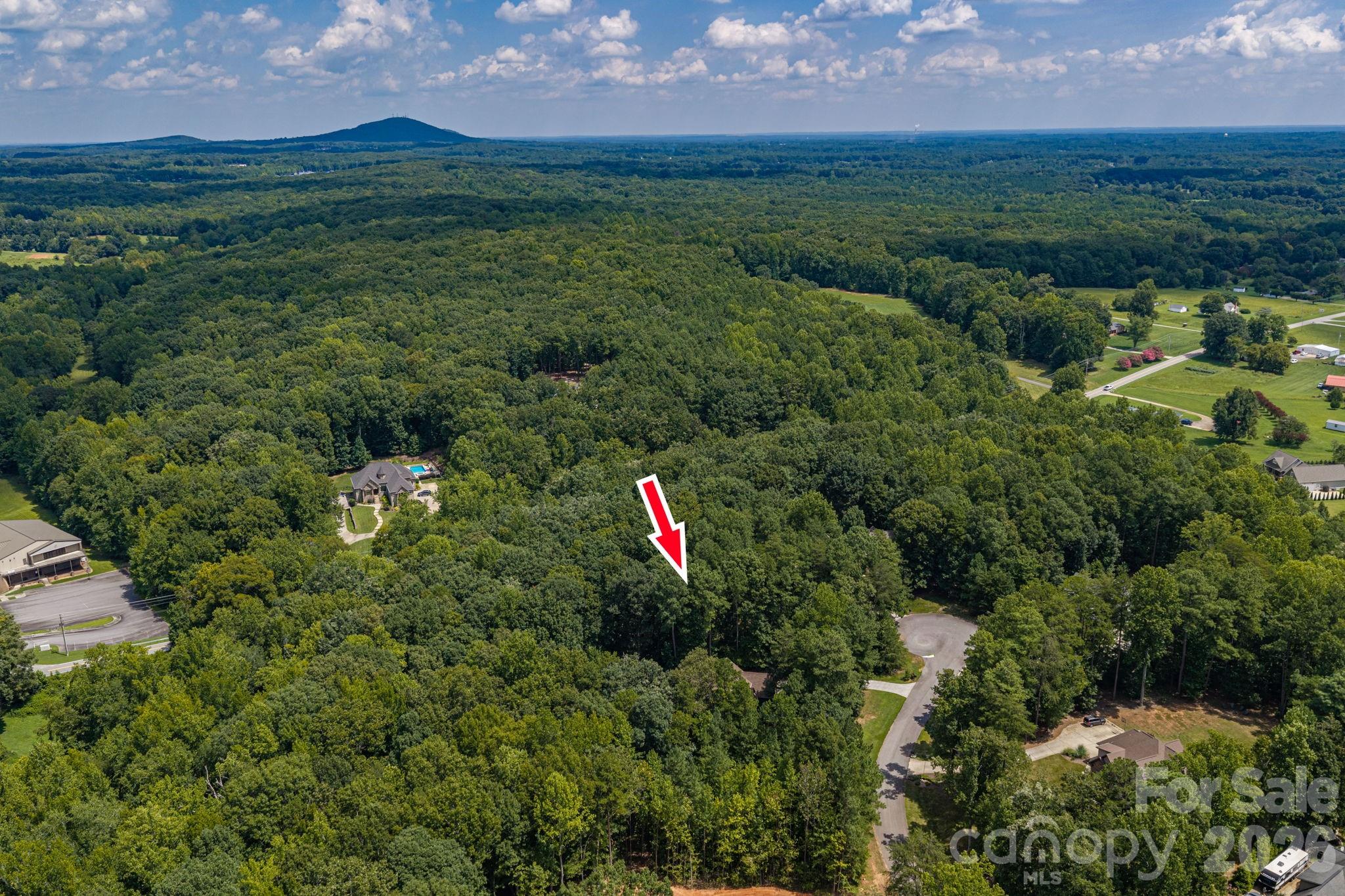 1903 Miners Creek Drive Property Photo 48