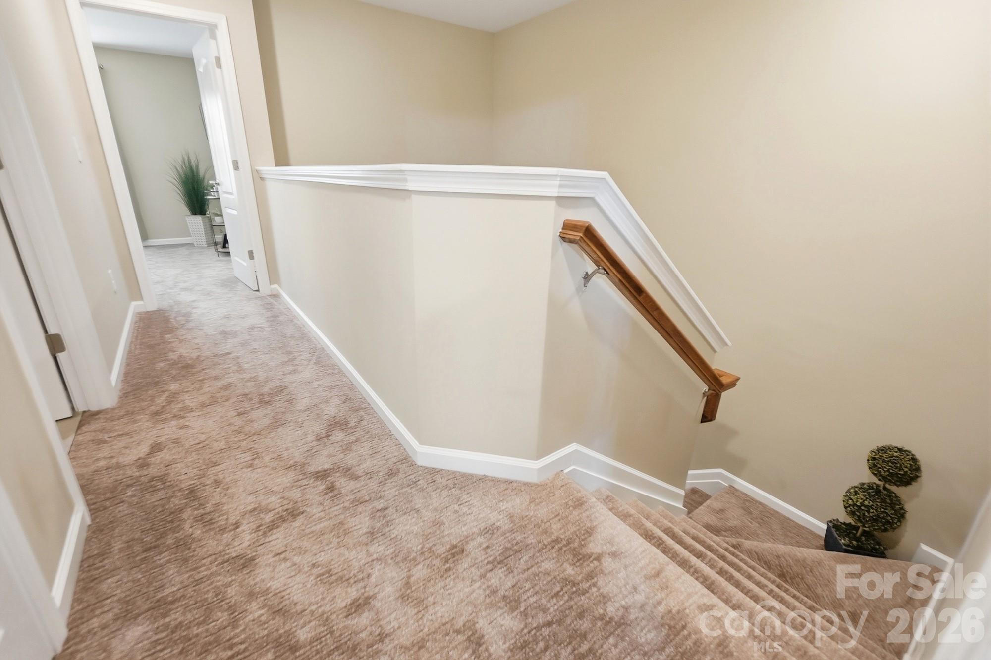 509 Common Raven Court Property Photo 21
