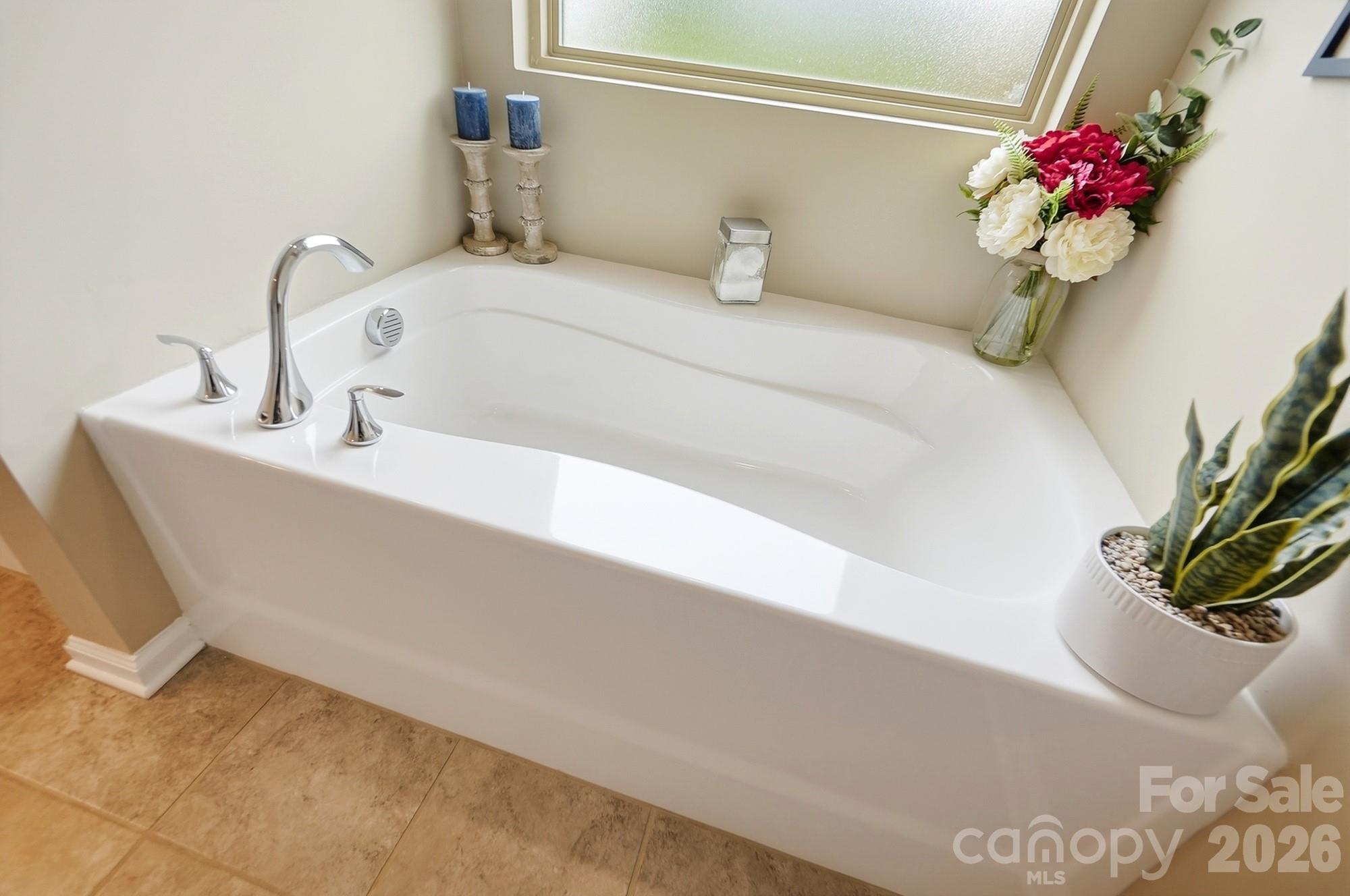 509 Common Raven Court Property Photo 27