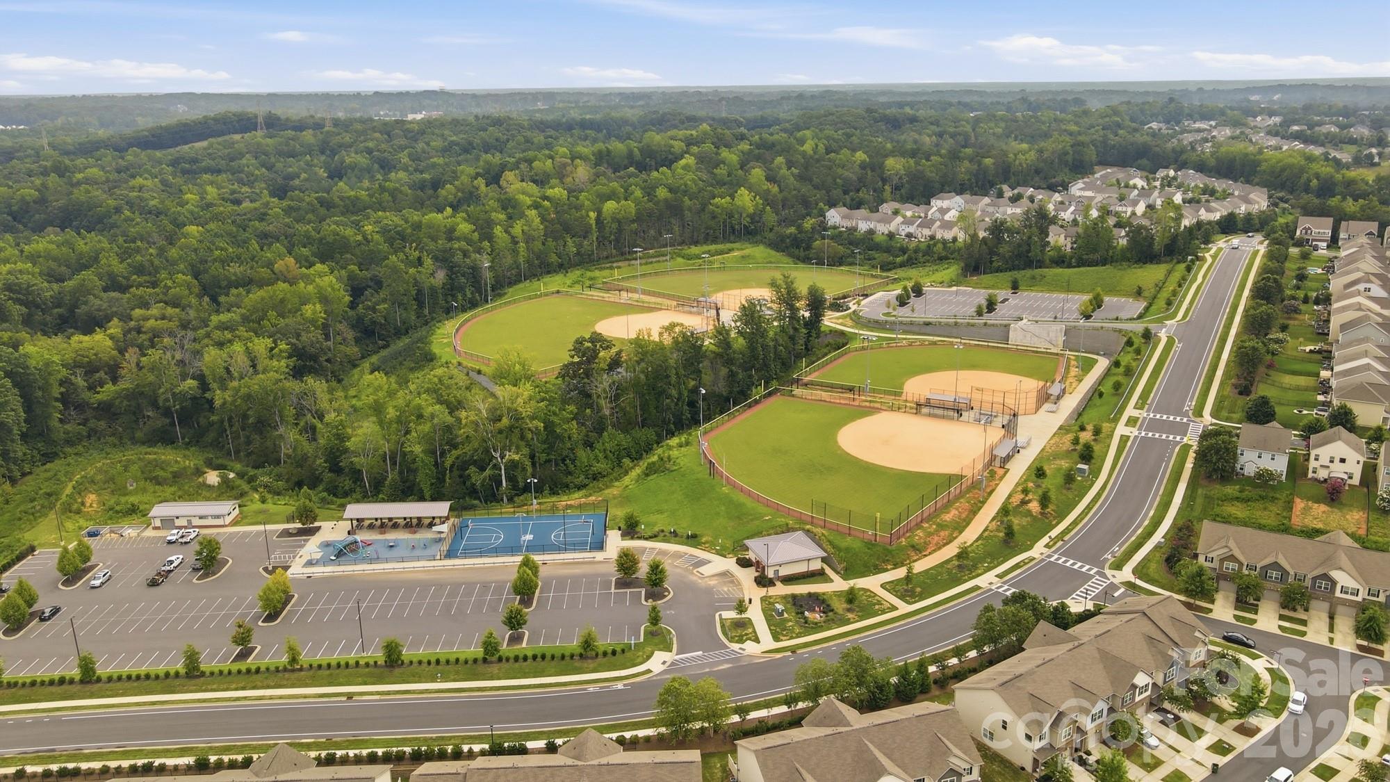 509 Common Raven Court Property Photo 44
