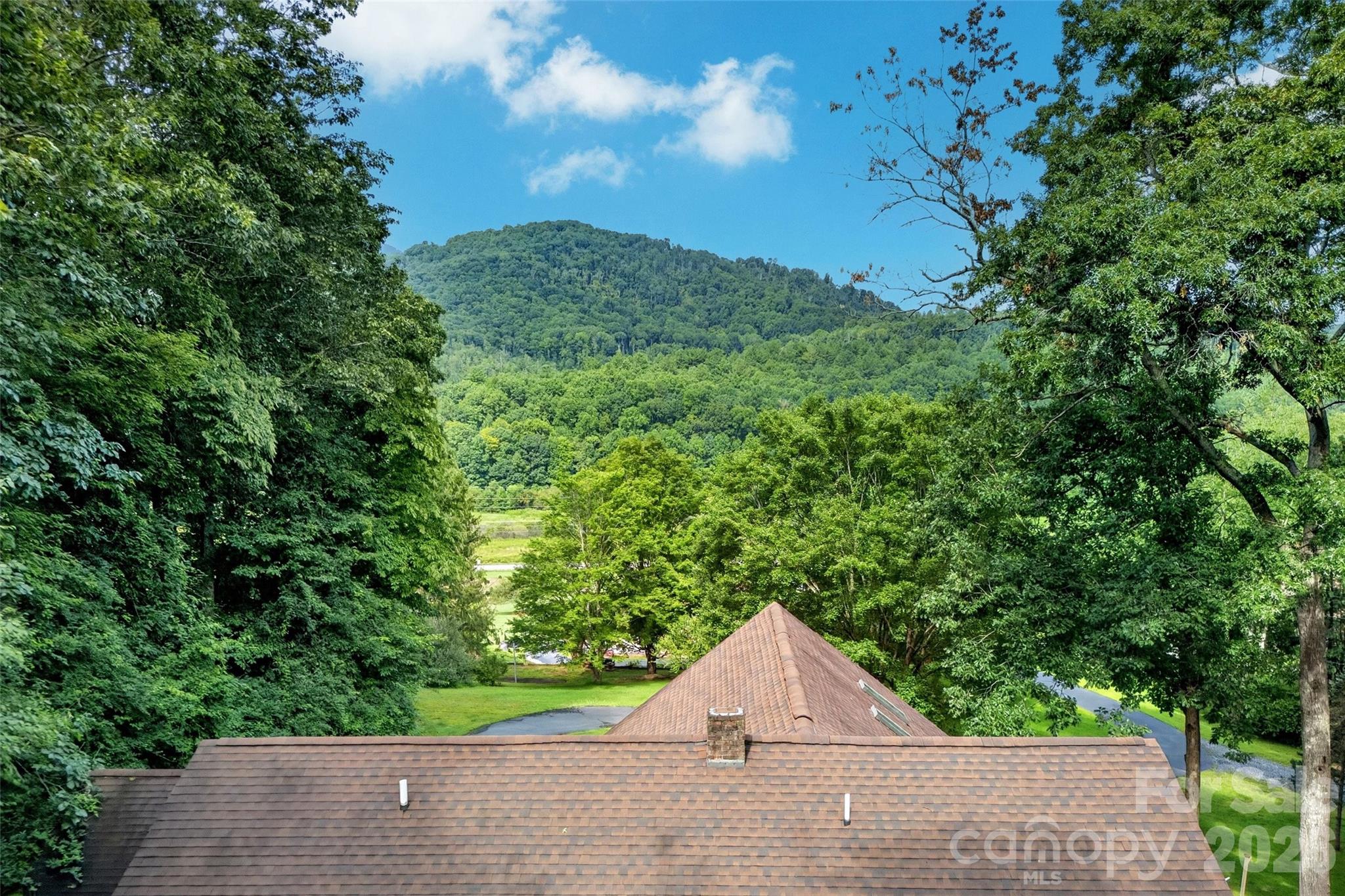 108 Shenandoah Drive Property Photo 43