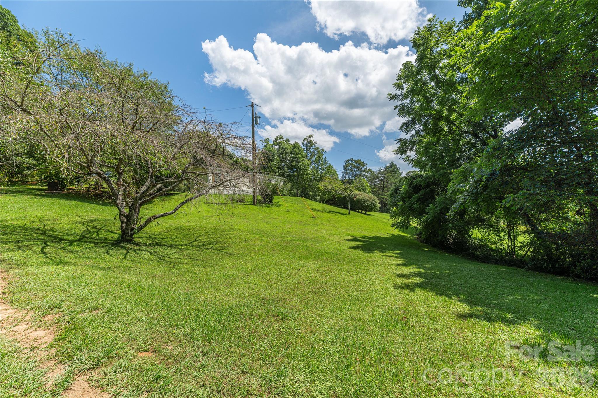 124 Sayles Town Place Property Photo 3