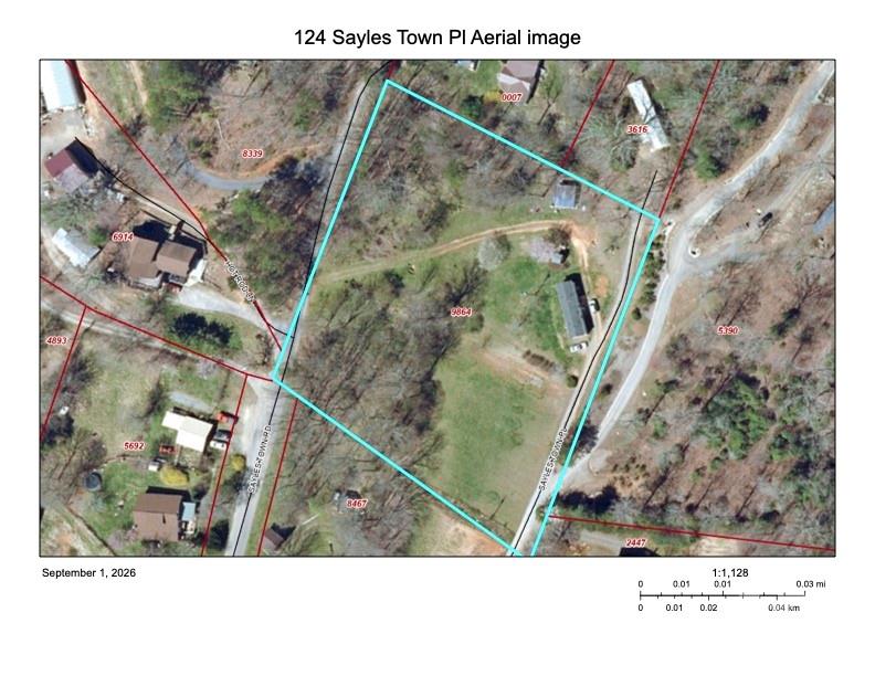 124 Sayles Town Place Property Photo 8