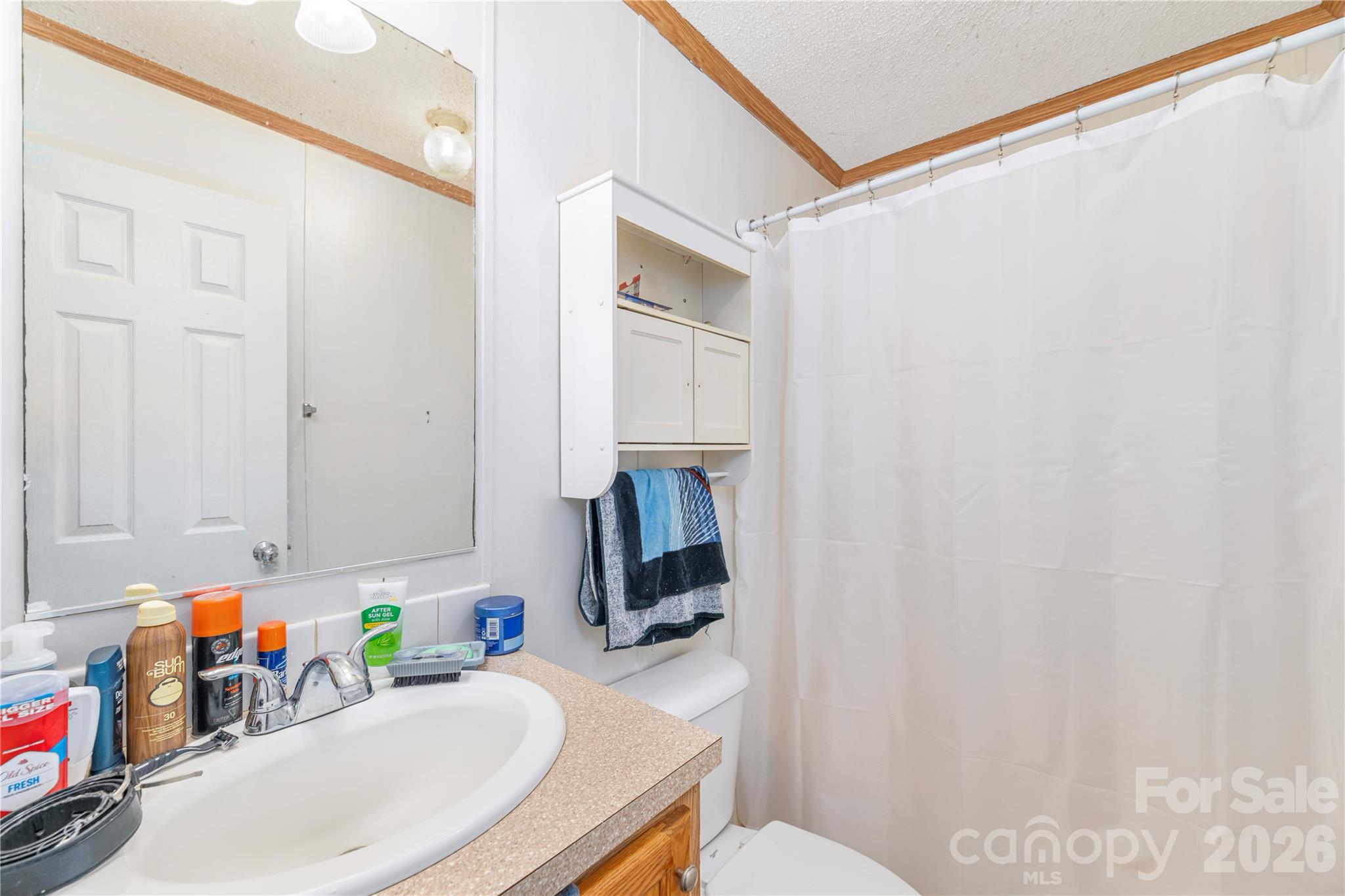 124 Sayles Town Place Property Photo 22