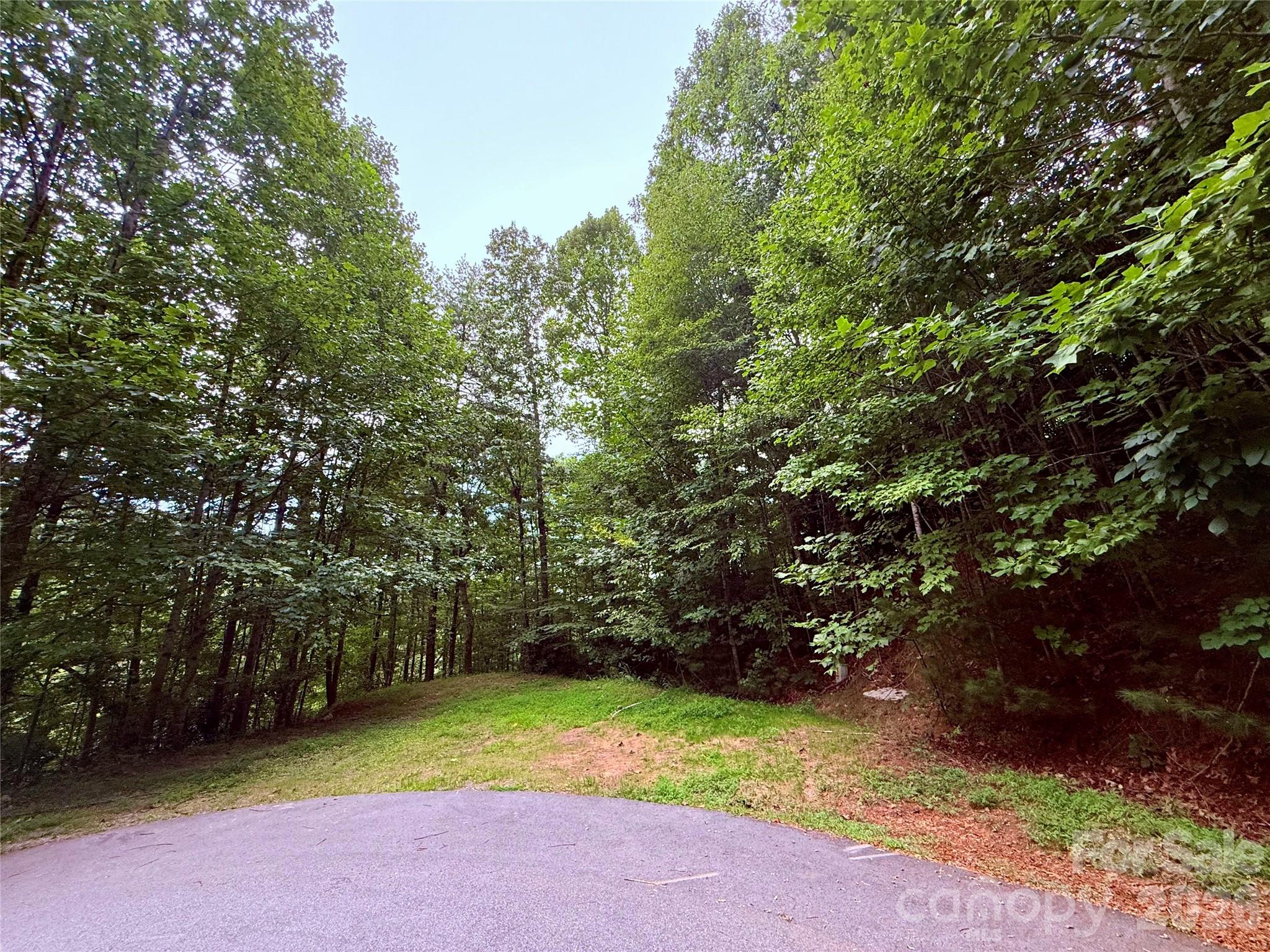 Tbd Parkway View Lane L1 Property Photo 1