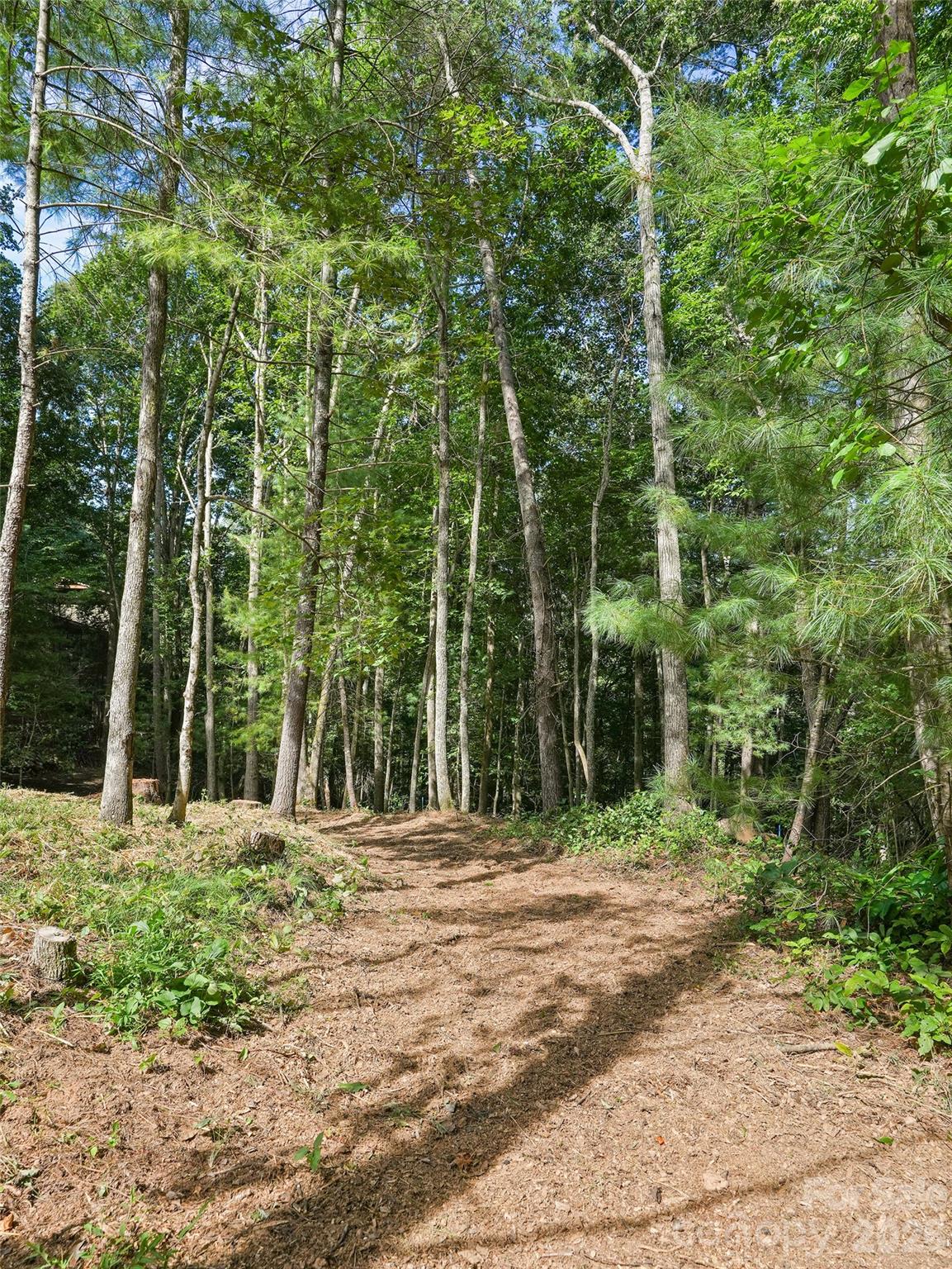 11 Tahchee Trail Property Photo 40