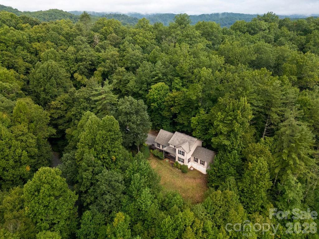62 Pine Hill Drive Property Photo 4