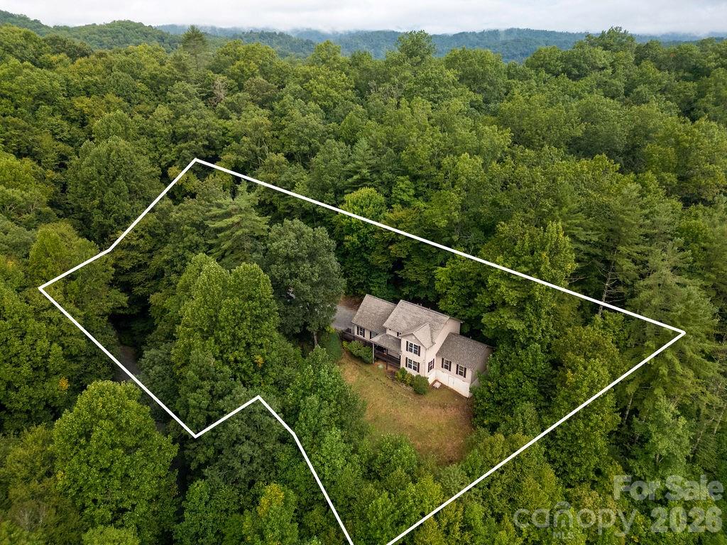 62 Pine Hill Drive Property Photo 5