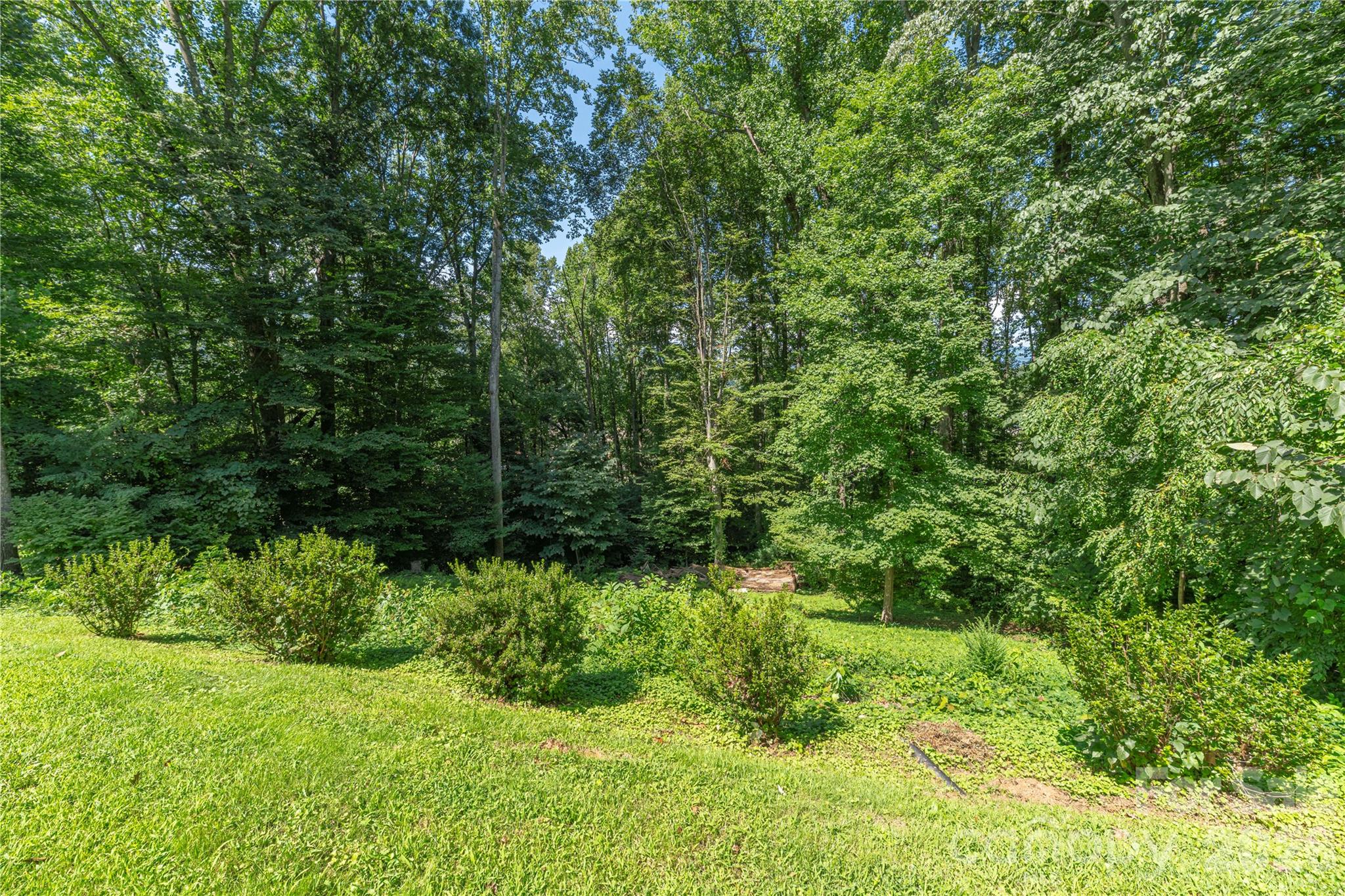 115 Hazelview Drive Property Photo 24