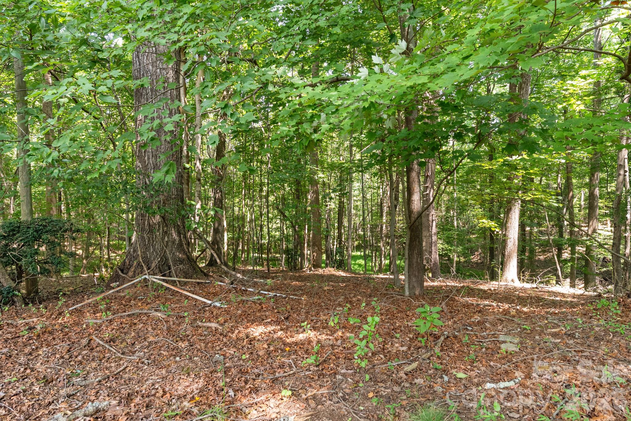 132 Blue Ridge Road Property Photo 30