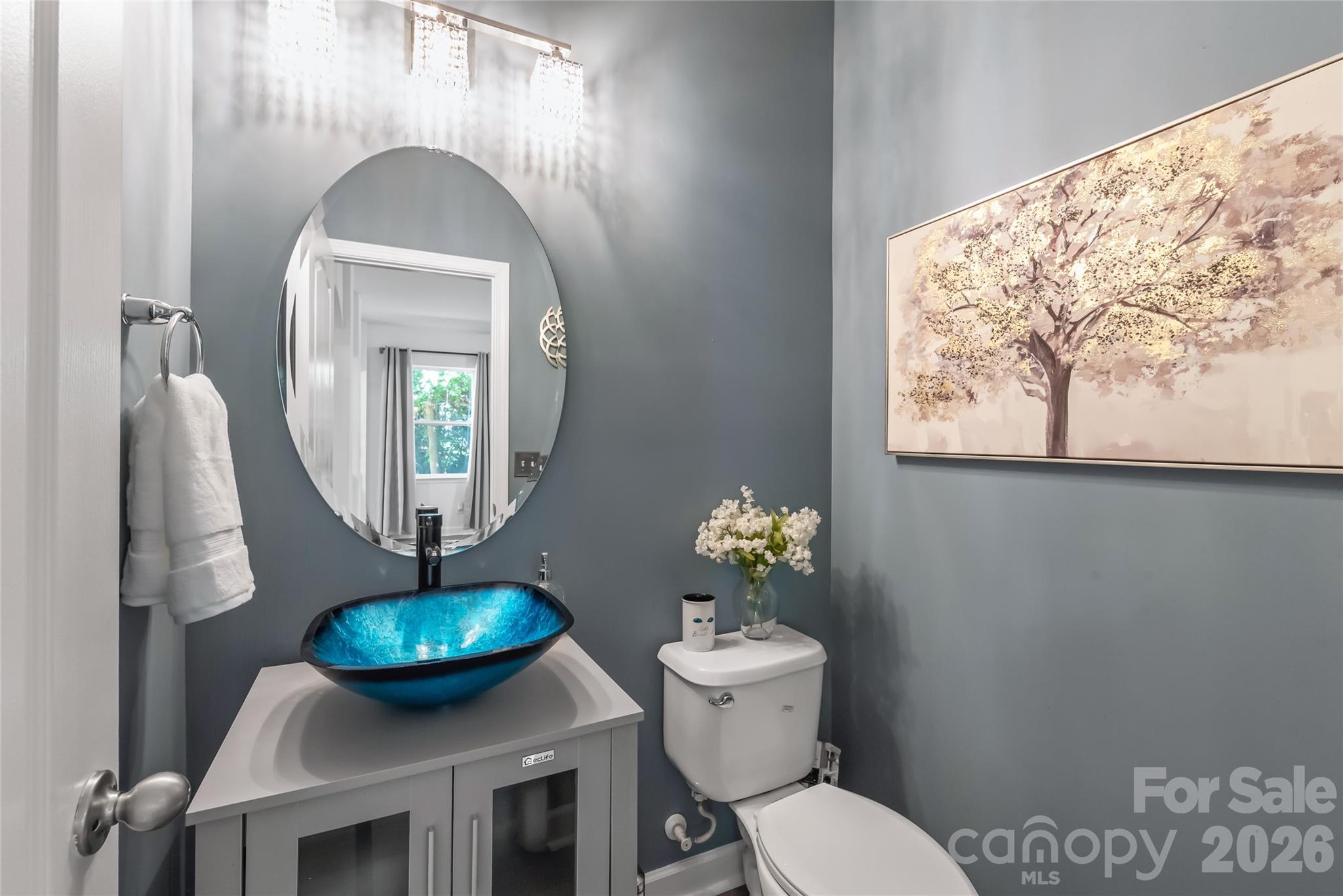 6404 Lanzerac Manor Drive Property Photo 8