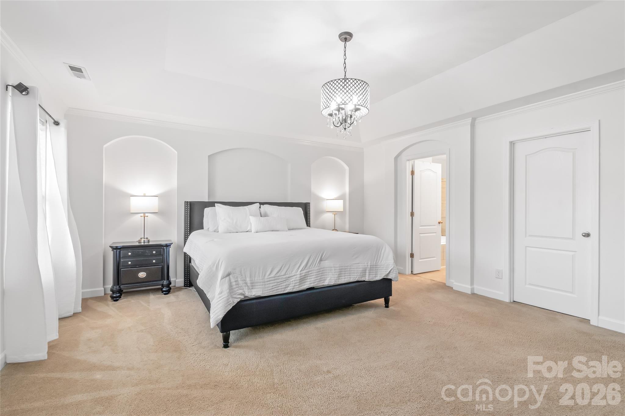 6404 Lanzerac Manor Drive Property Photo 22