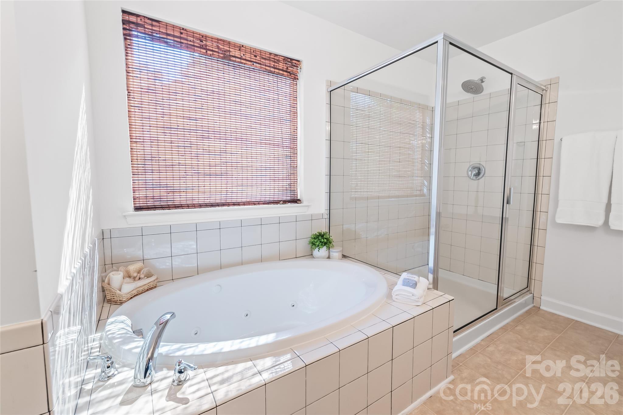 6404 Lanzerac Manor Drive Property Photo 24