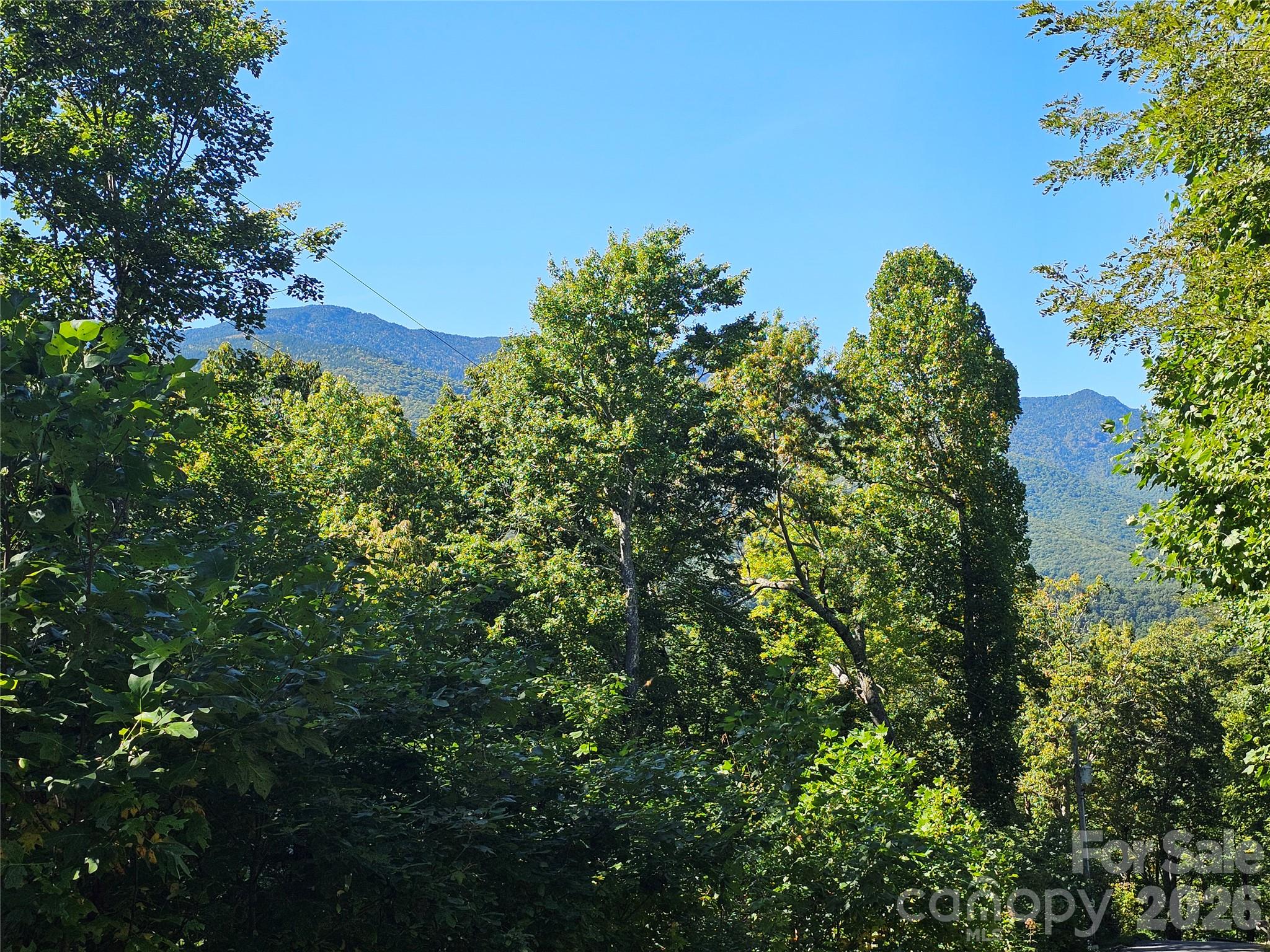 102 Big Ridge Road 102 Property Photo 1