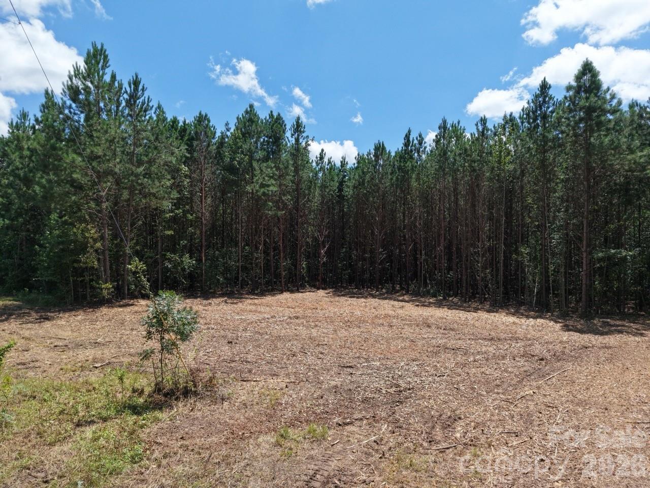 0 Cassels Road Property Photo 7