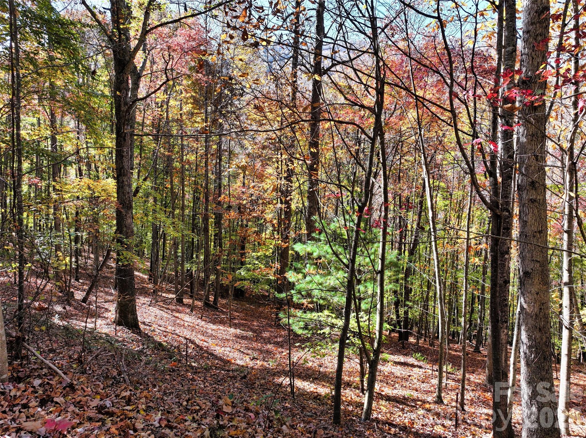 829 Stoney Stream Lane Property Photo 3