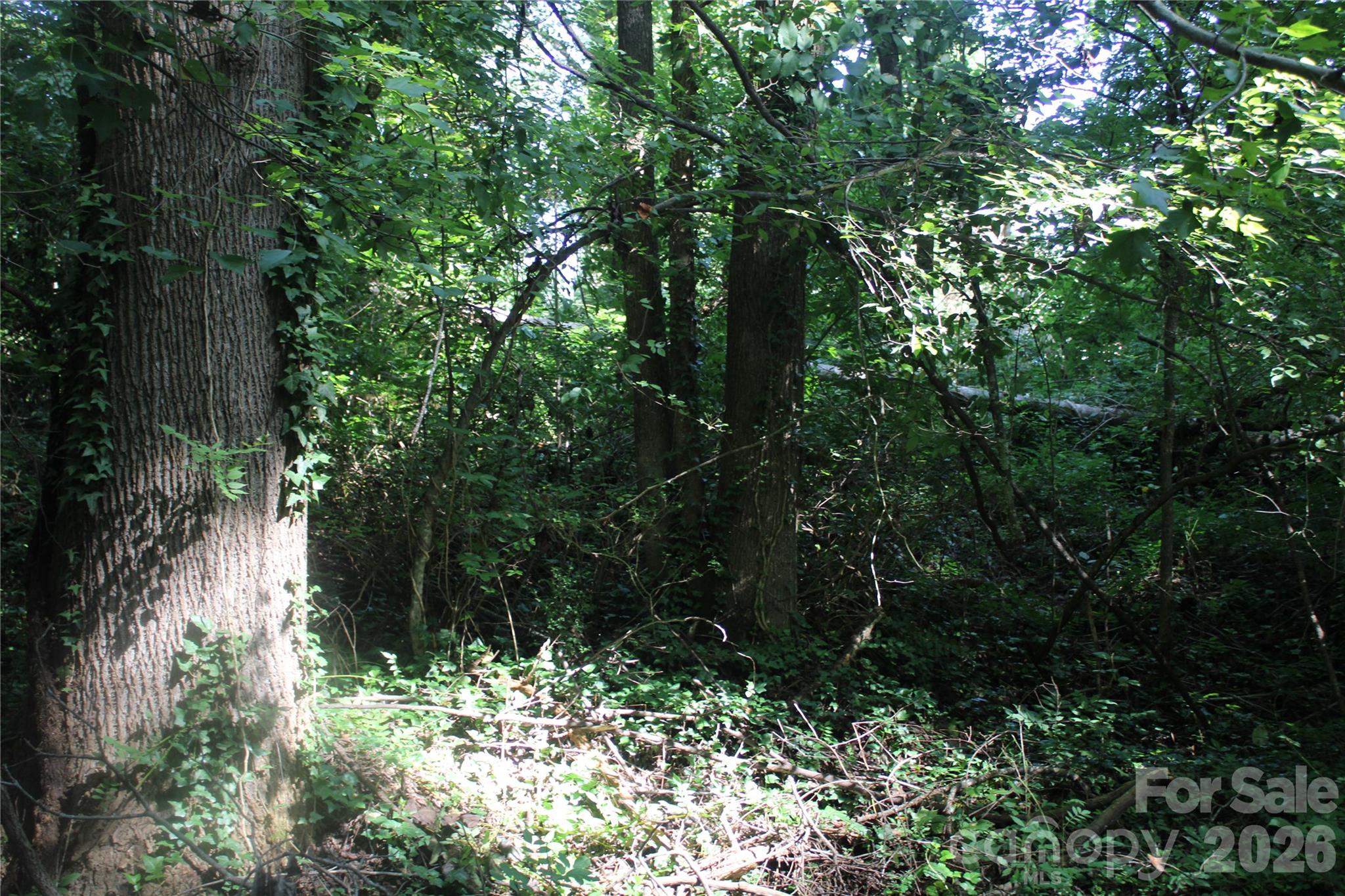 TBD Princess Street Property Photo 1