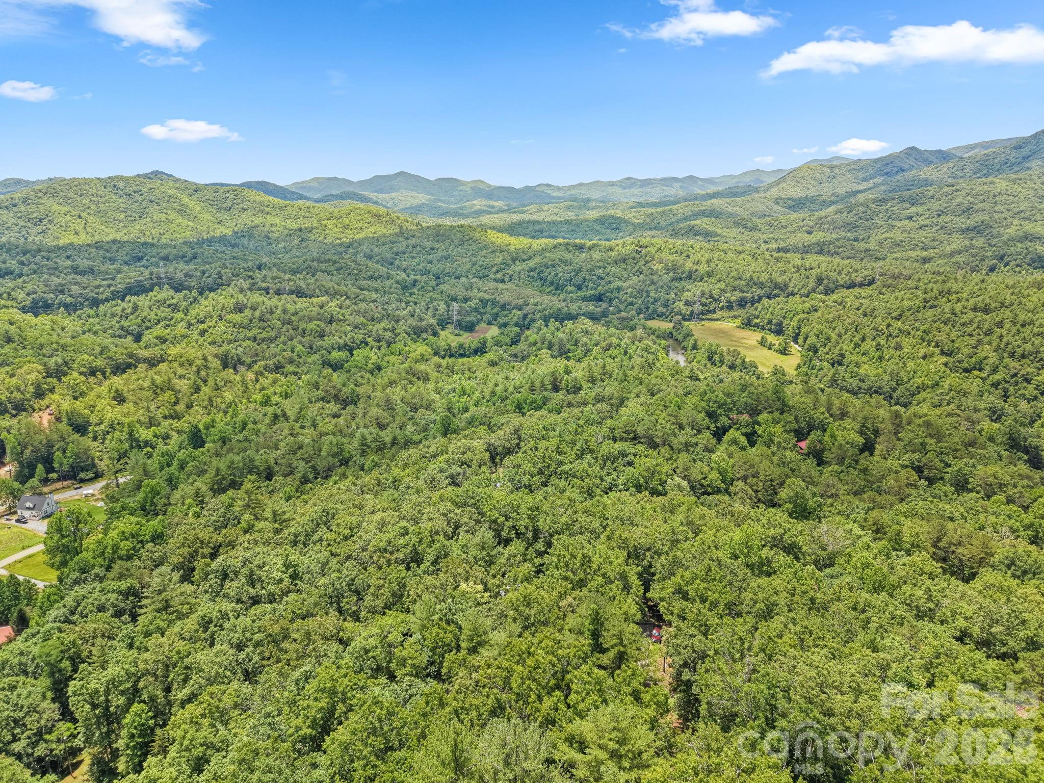 431 Judds Trail Property Photo 39