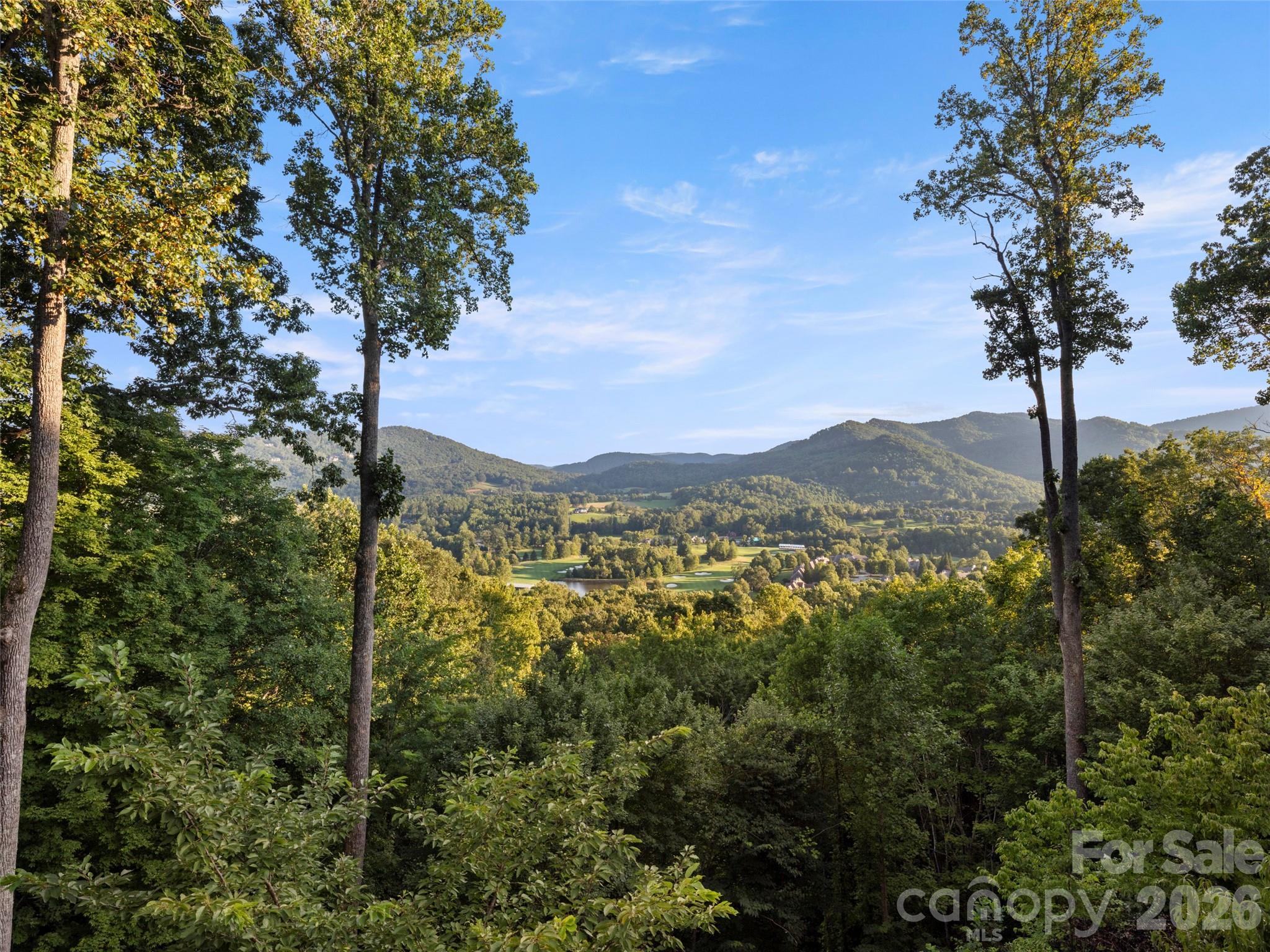 994 Clovertop Lane Property Photo 41
