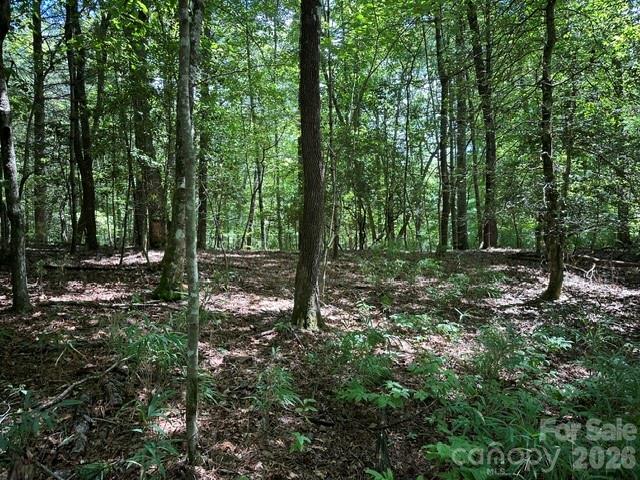 Tbd Blossom Road Property Photo 1